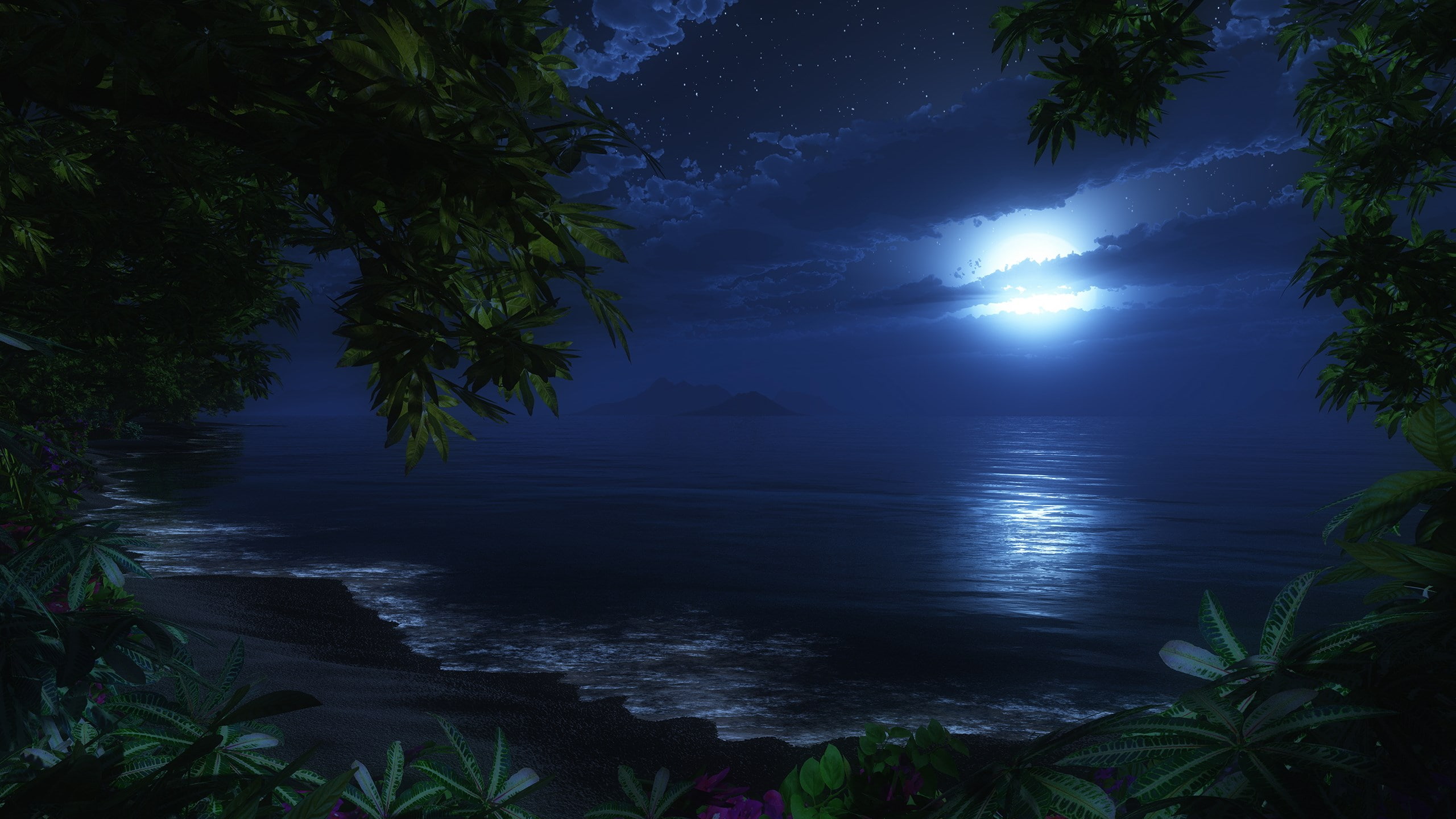 sea, scenics - nature, hi def nature pictures 2560x1440, plant part, tranquil scene, moonlight, growth, water, beach, night, nature, sky, plant, leaf, beauty in nature, HD Wallpaper