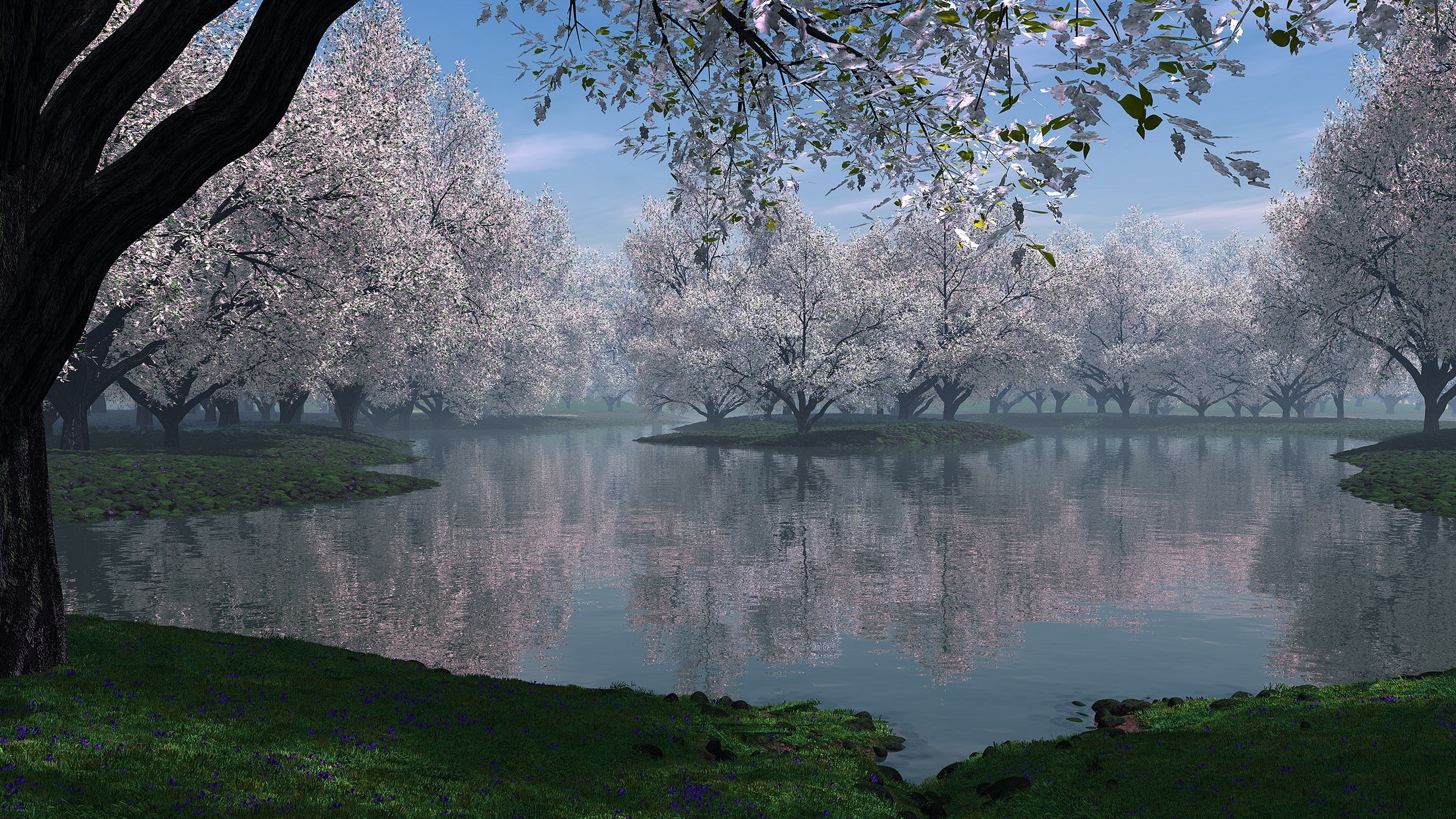 hi def nature pictures 2560x1440, 2K, HD Wallpaper