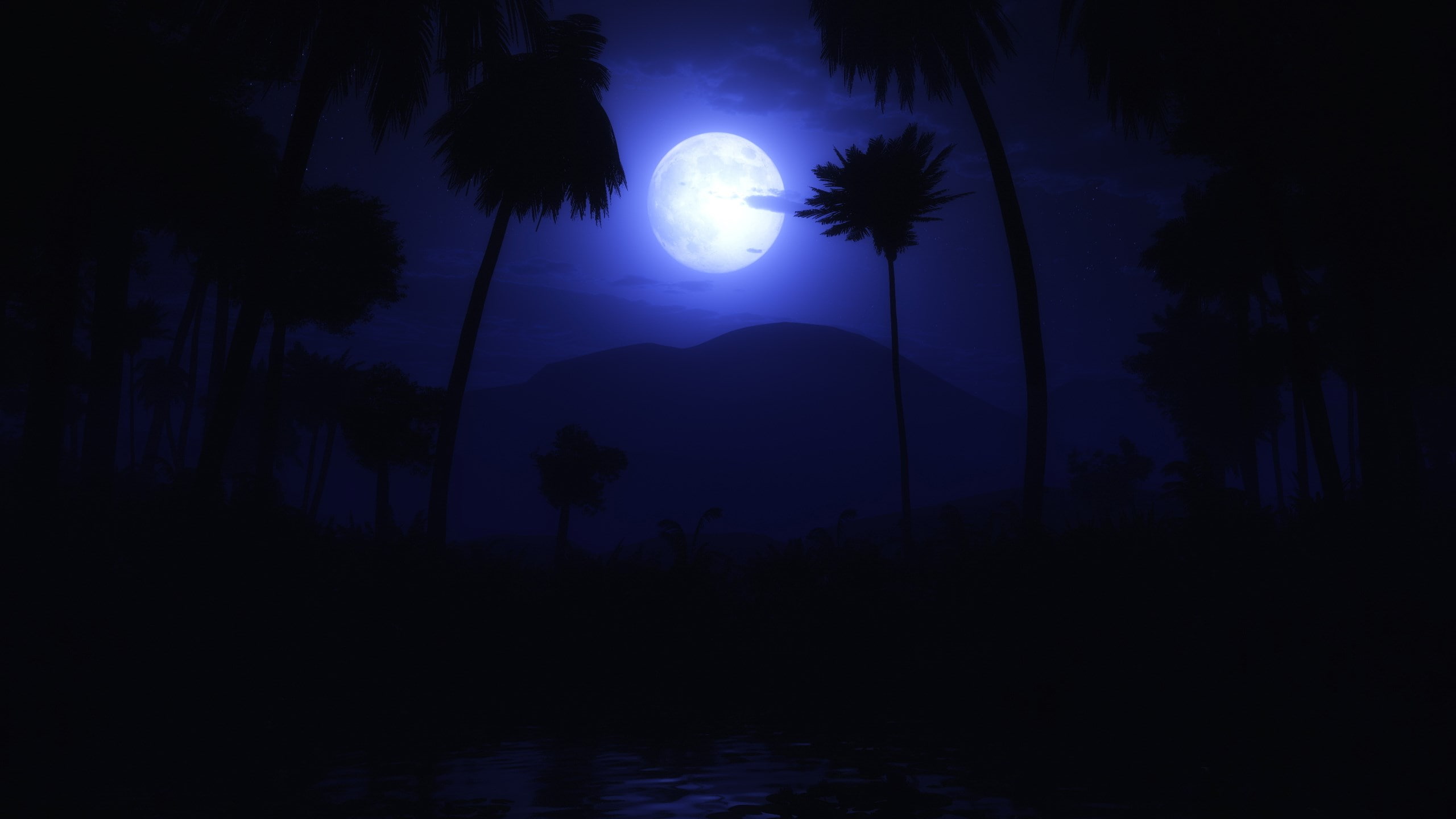 tranquil scene, night, outdoors, hi def nature pictures 2560x1440, moon, beauty in nature, silhouette, full moon, tranquility, coconut palm tree, sky, moonlight, HD Wallpaper