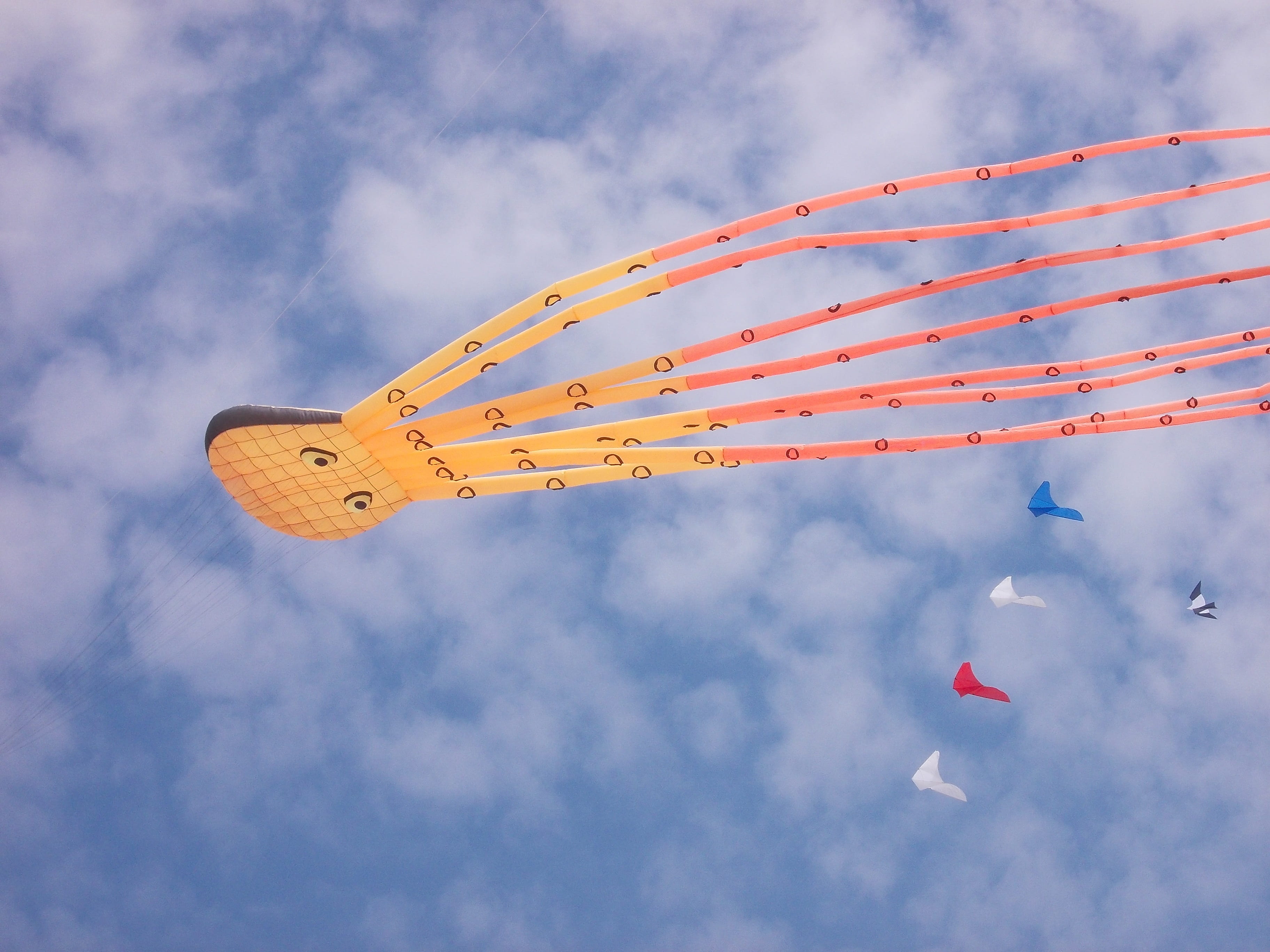no people, bray-dunes, orange, clouds, celebration, blue sky, octopus, day, sky, air vehicle, airshow, plane, kite - toy, kite, on the move, colors, beach, HD Wallpaper