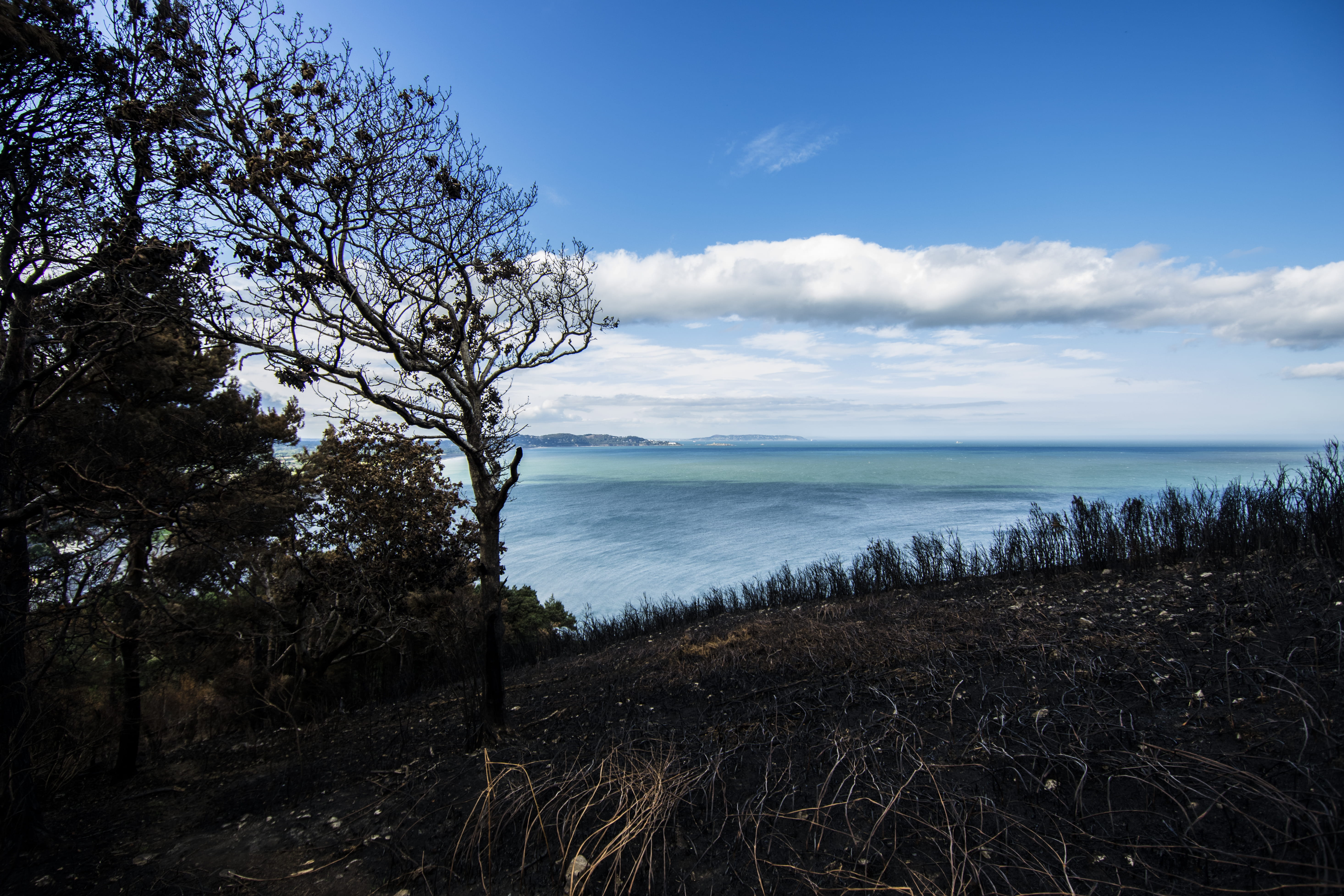 no people, beauty in nature, 5K, black, bray, day, tree, sea, ireland, sky, land, fire, plant, lake, scenics - nature, water, growth, outdoors, tranquil scene, HD Wallpaper