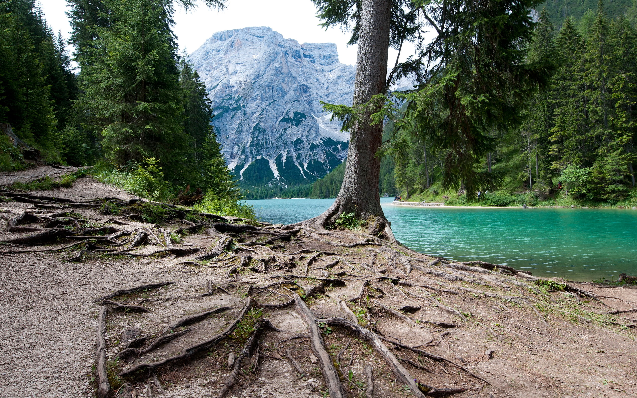 braies, lago, 2K, HD Wallpaper