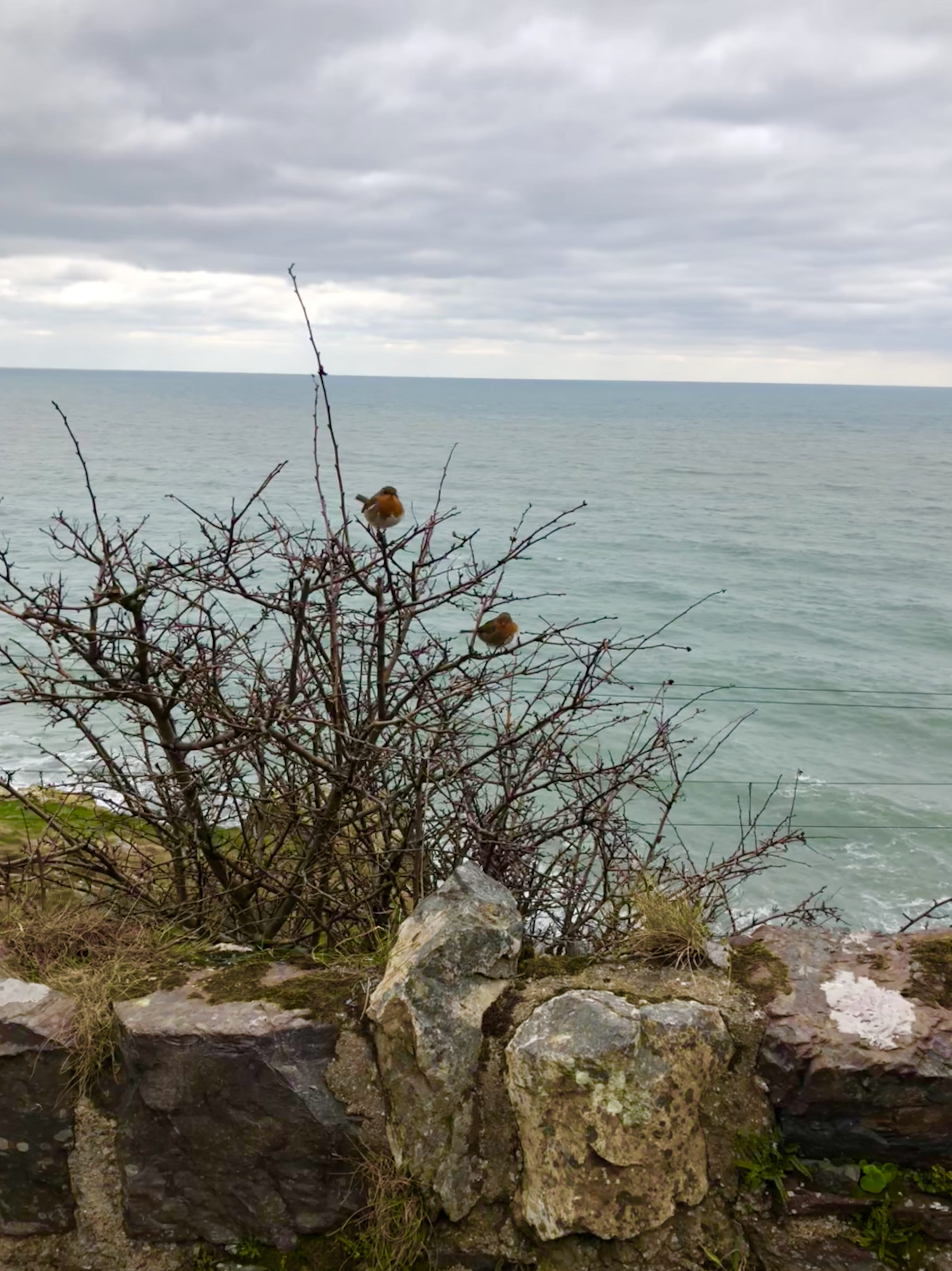 outdoors, bray, rock, rock - object, nature, water, day, non-urban scene, horizon, sea, robins, solid, horizon over water, tranquility, land, beauty in nature, Phone HD Wallpaper