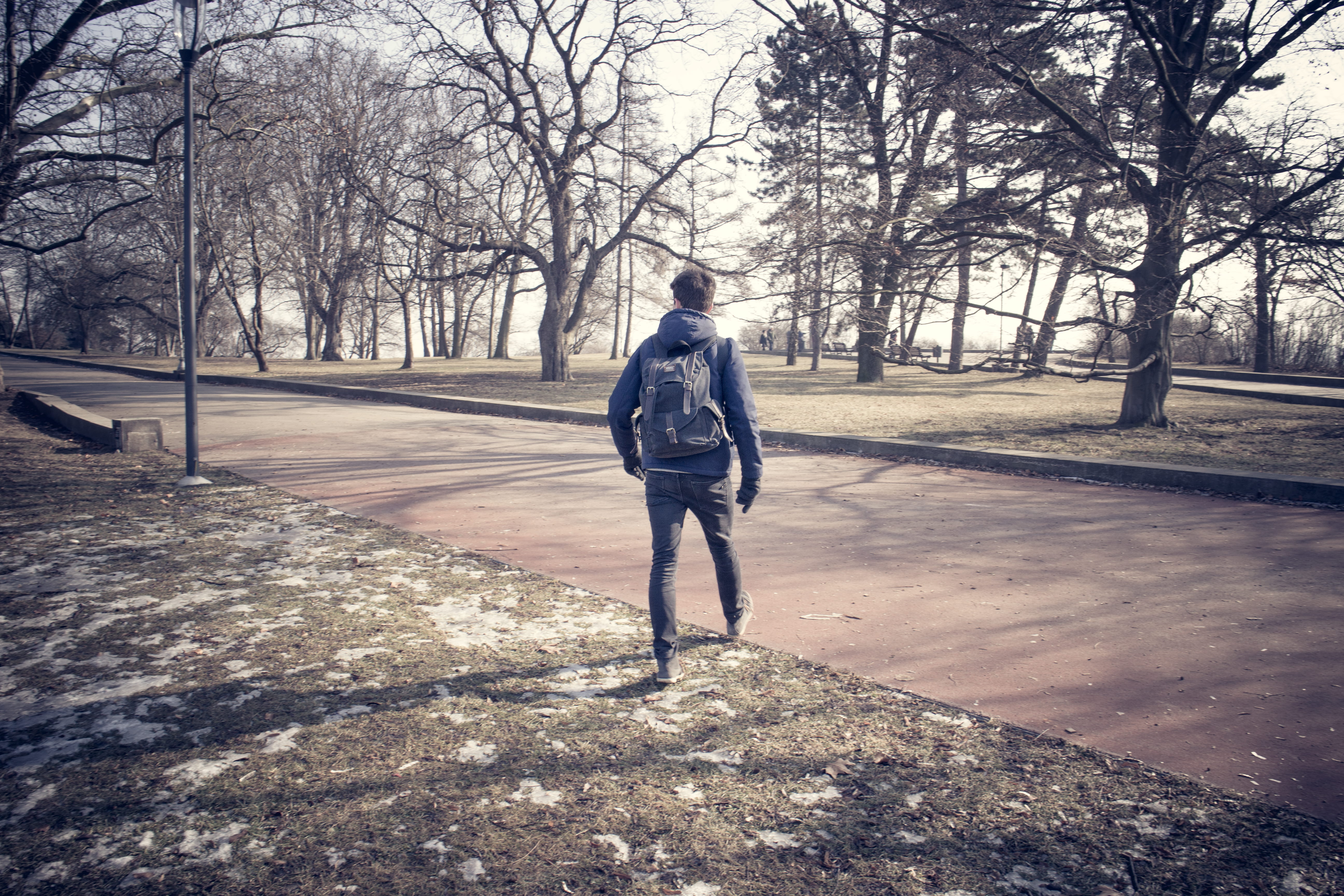tree, young adult, real people, footpath, park, day, walking, outdoors, nature, casual clothing, plant, prague, rear view, czechia, shadow, lifestyles, HD Wallpaper
