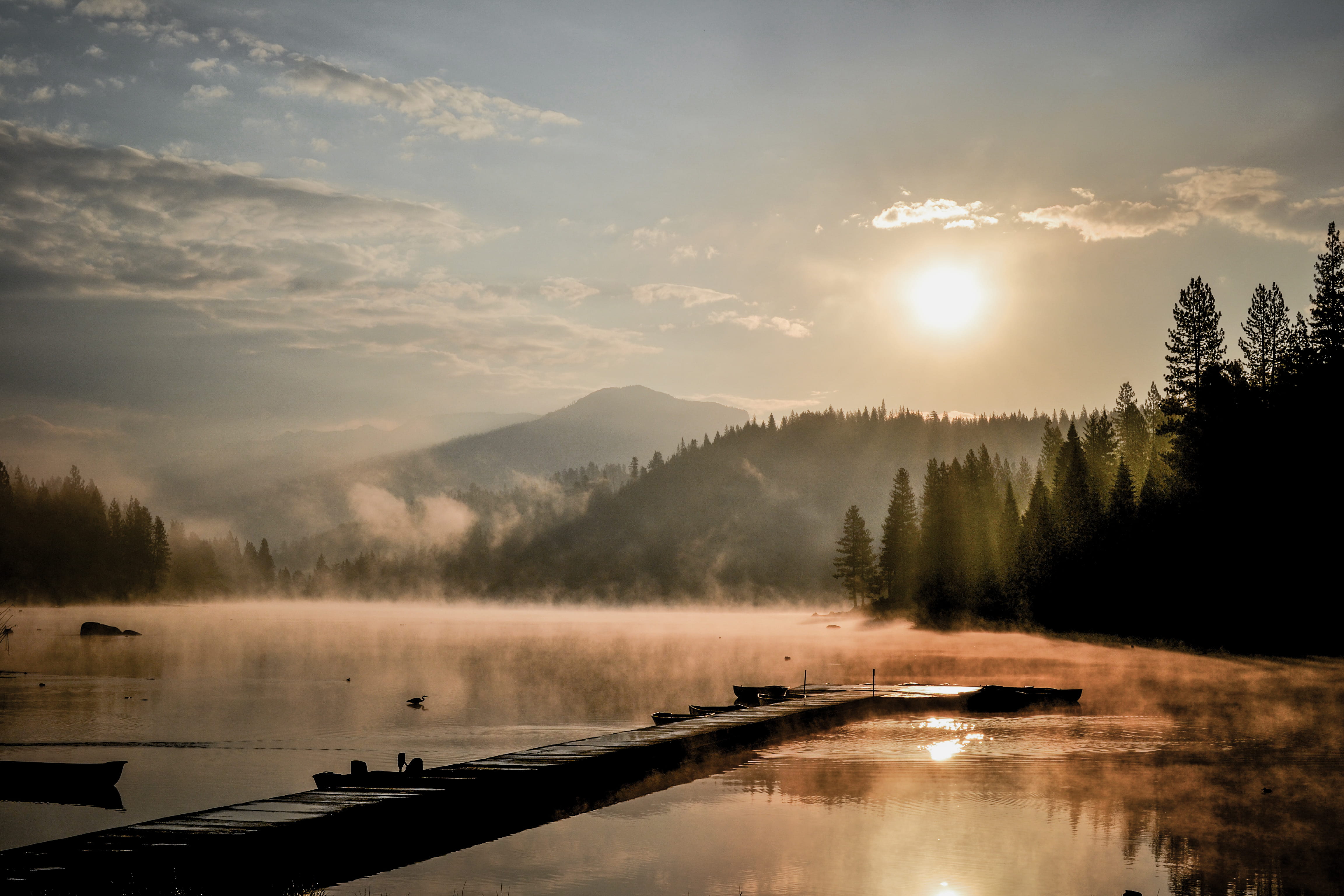 sky, yellow, doc, scenics - nature, united states, fog, reflection lake, lake, adventure, tranquility, smoke, water, tranquil scene, trees, idyllic, tree, HD Wallpaper
