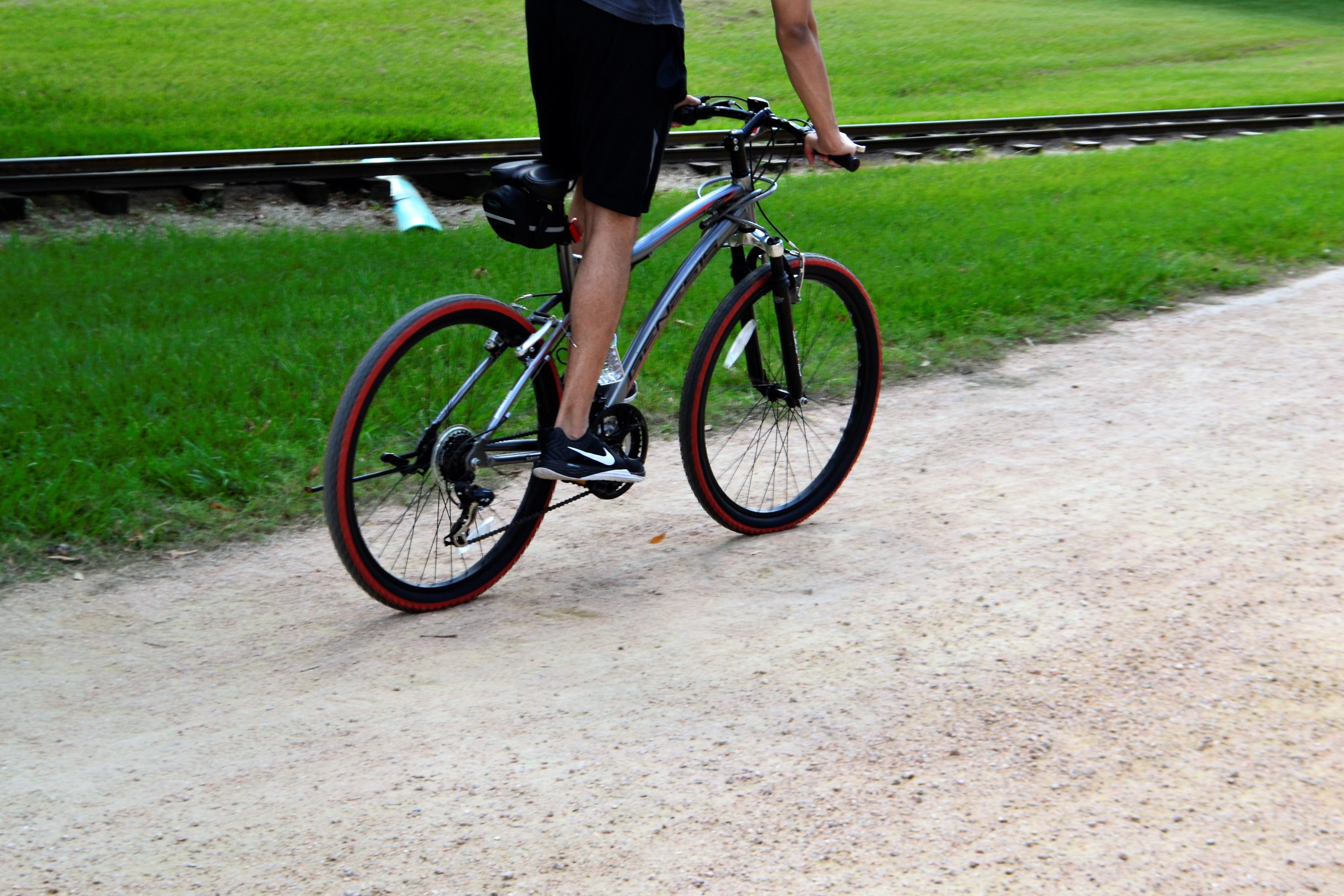 land vehicle, plant, lifestyles, handle bars, active, trail, rider, bicycle, sunlight, health, nature, standing up, riding a bike, sport, exercise, cycle, HD Wallpaper