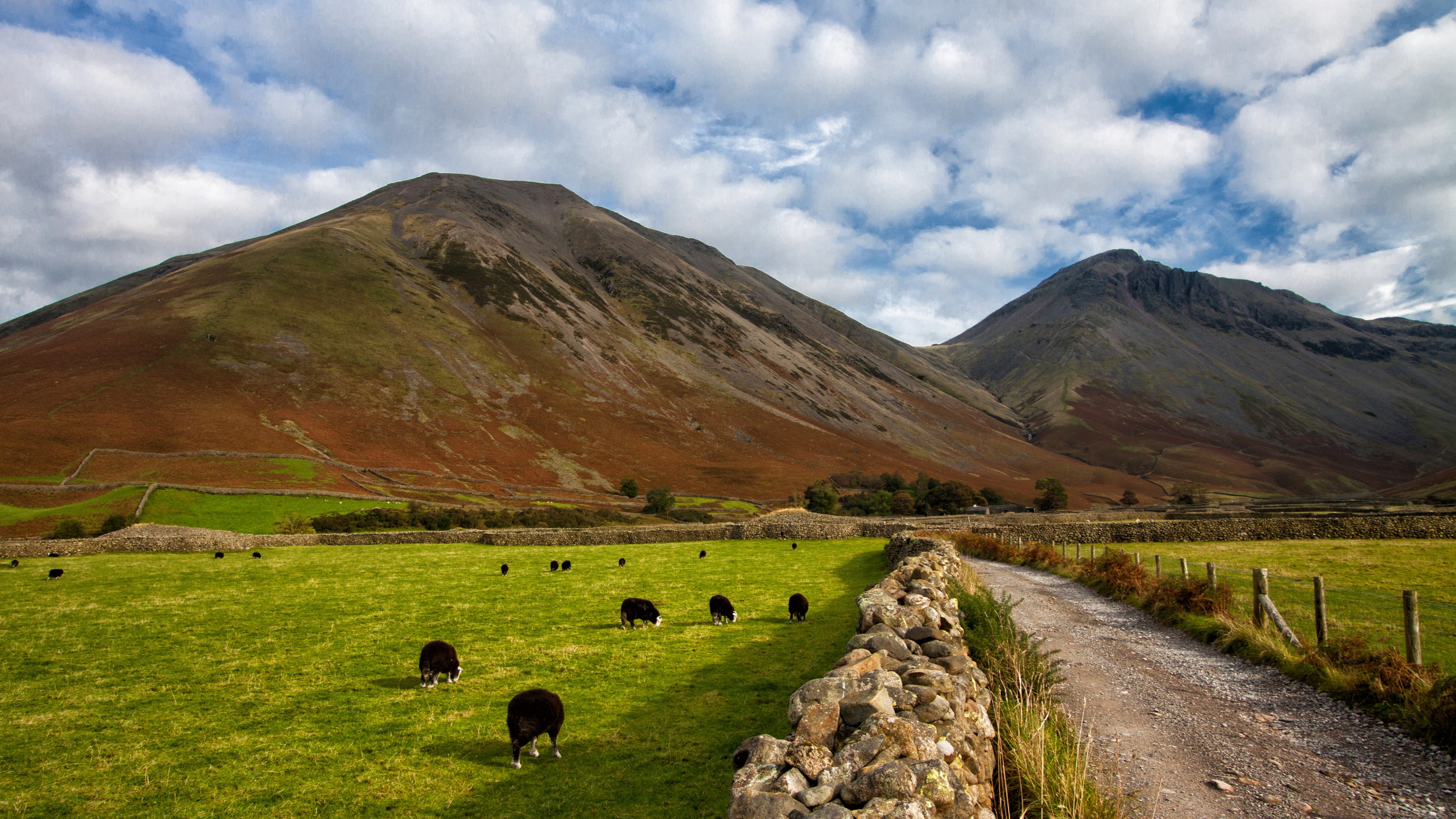 National Park, goats, 5k, Cumbria, 4K, meadows, Lake District, England, hills, HD Wallpaper