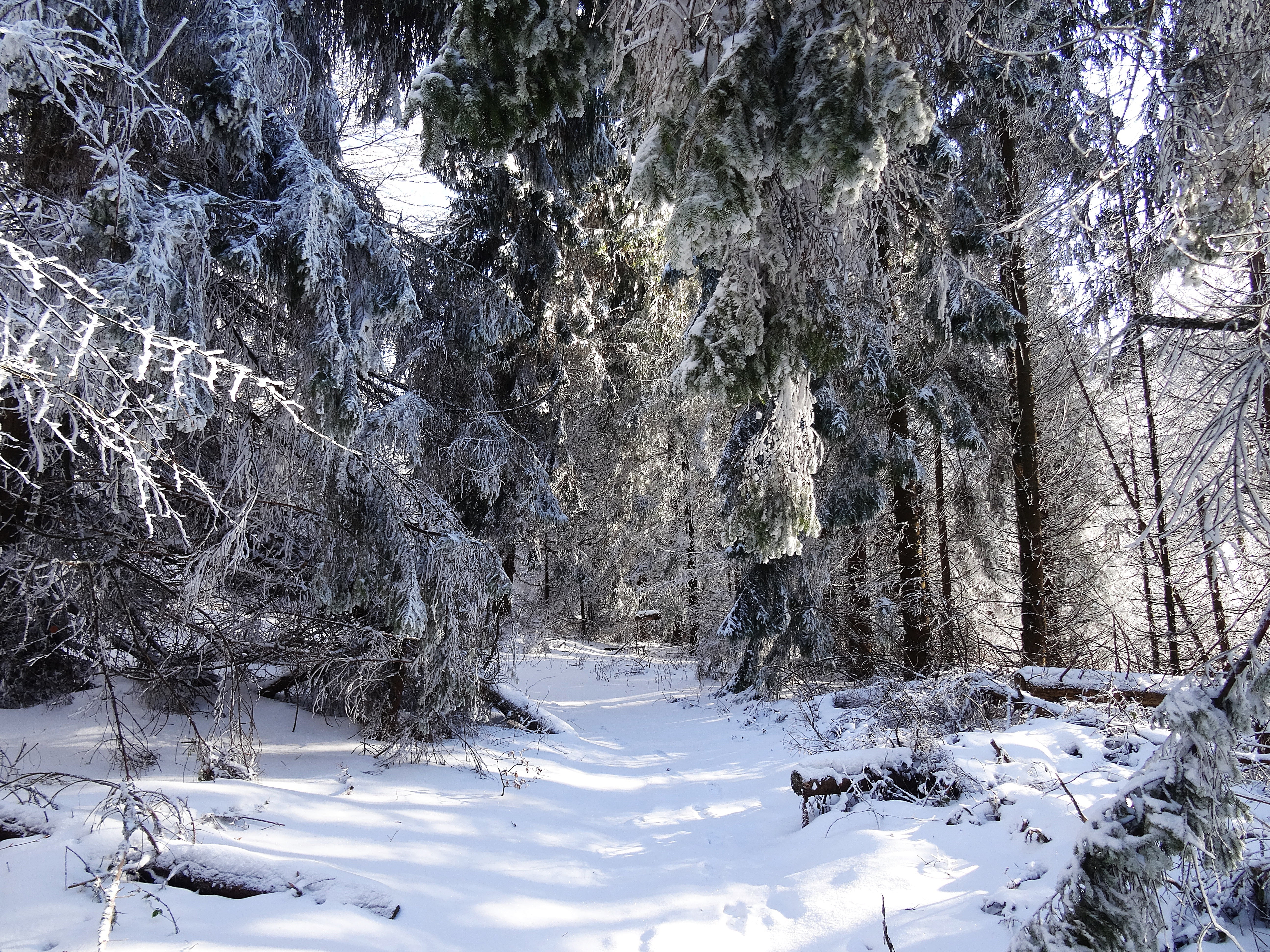tranquility, poland, outdoors, travel, beauty in nature, extreme weather, frost, winter in the mountains, frozen, snowcapped mountain, woodland, scenics - nature, HD Wallpaper