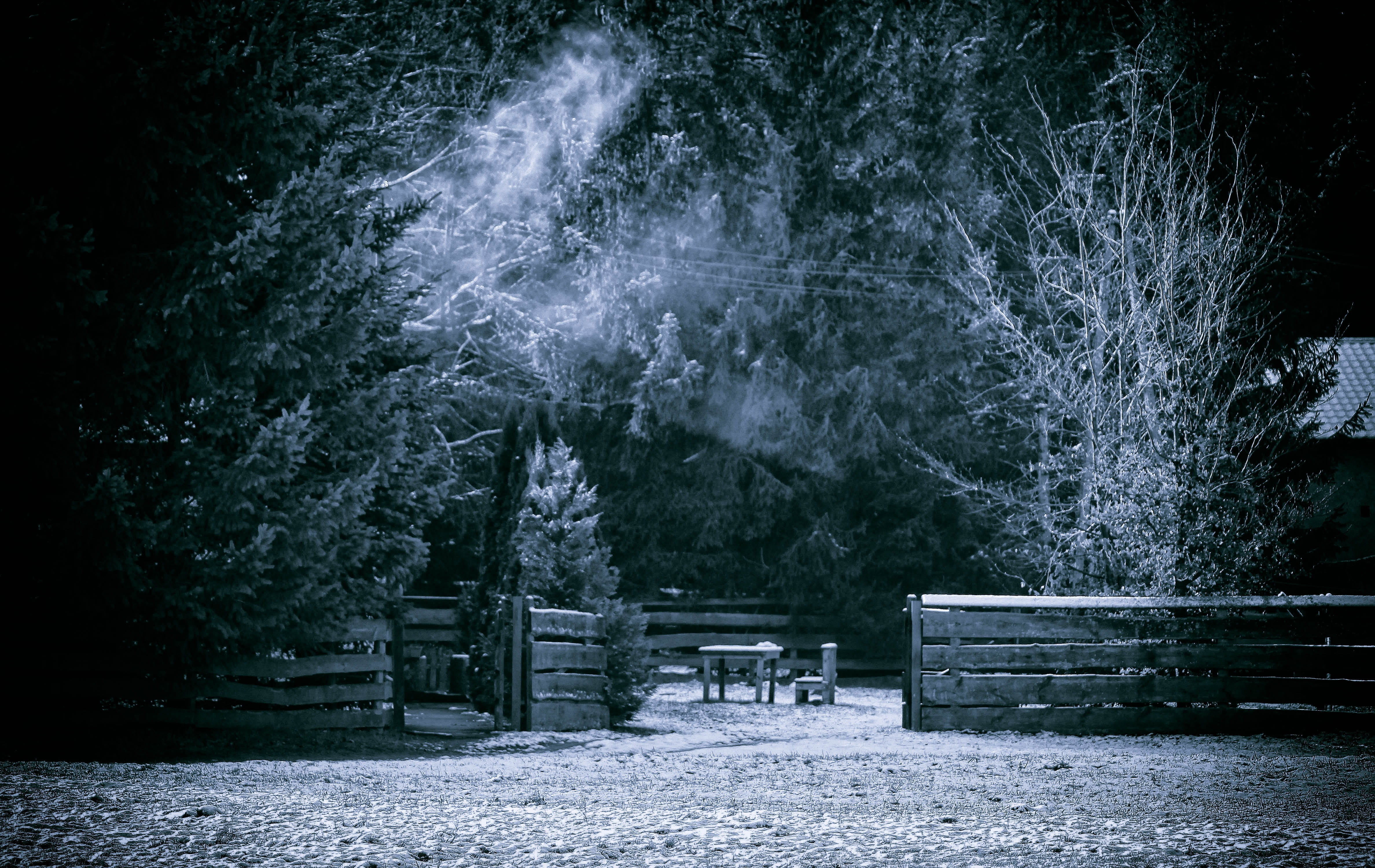 lonely, ice, mysterious, architecture, frozen, dark, nostalgia, bench, cold, nature, wooden, temperature, 4K, trees, the beauty of nature, the rays, spacer, HD Wallpaper