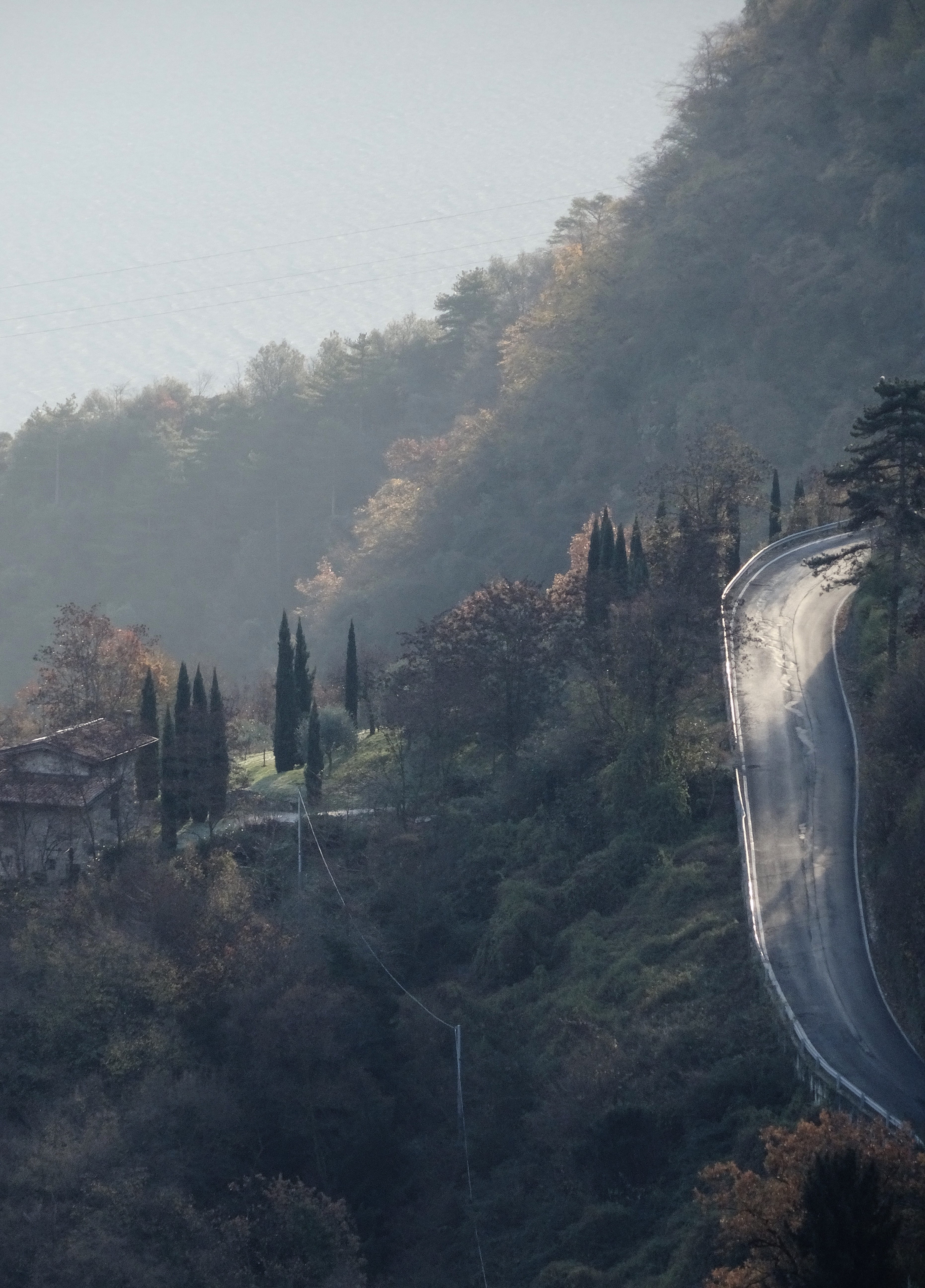 italy, tranquil scene, nature, environment, forest, landscape, tree, transportation, growth, tranquility, day, plant, light, fog, road, countryside, architecture, Phone HD Wallpaper
