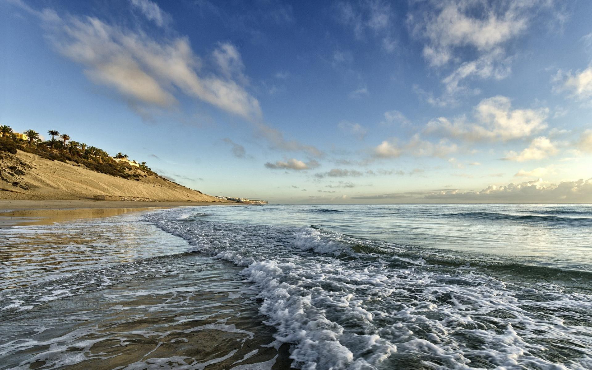 cloud, seaside, 1920x1200, 1080P, beaches, breathtaking, sand, body, tree, water, HD Wallpaper