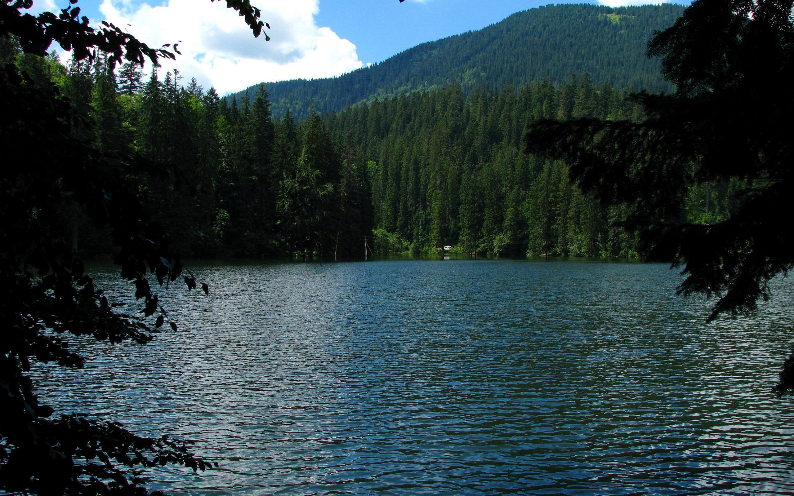 nature, image, 2K, near, cloud, breathtaking, pine, 2560x1600, tree, mountains, mountain, river, trees, lake, HD Wallpaper