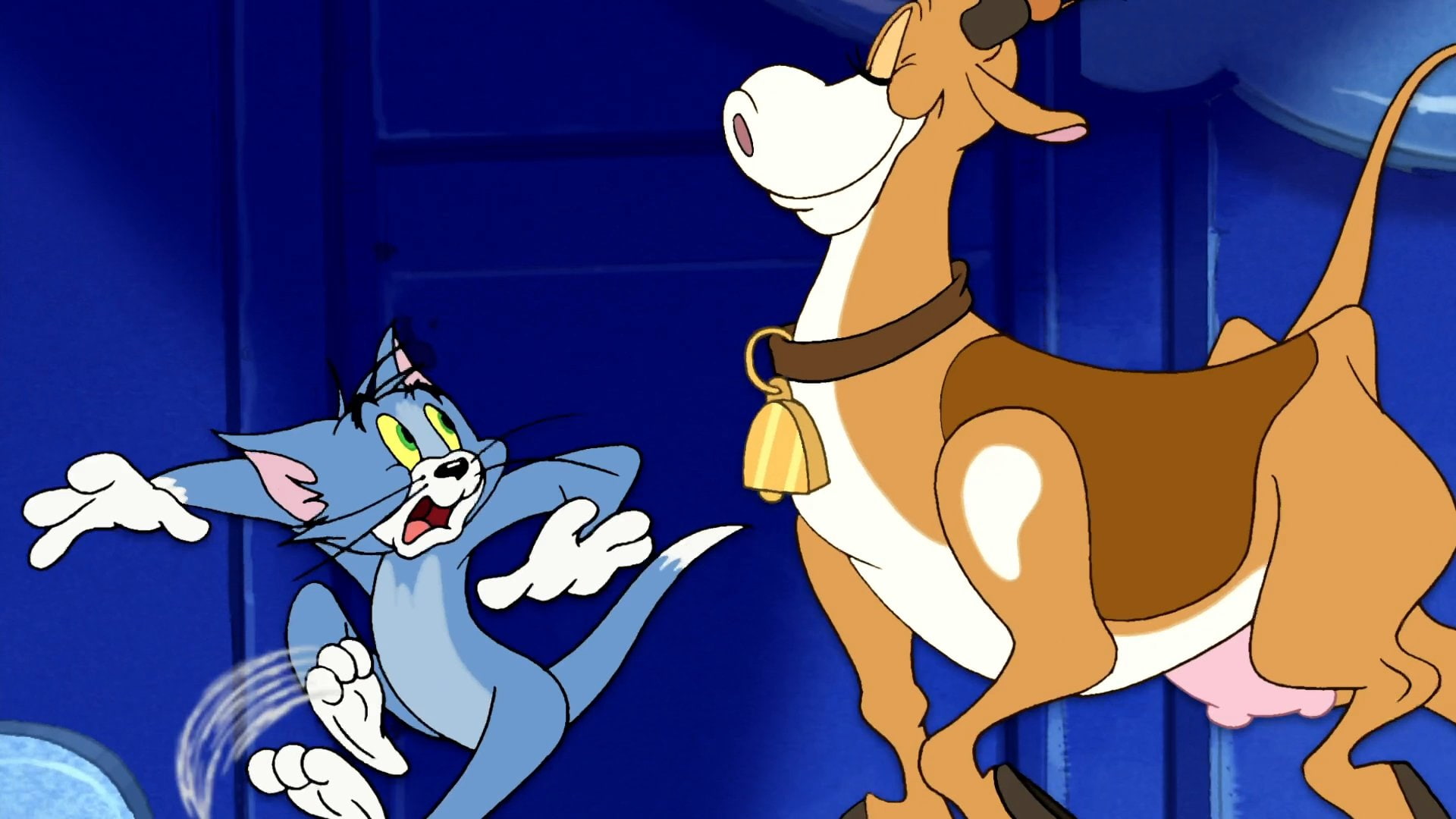 1080P, tom, 1tomjerry, cartoon, mouse, family, mice, comedy, animation, jerry, cat, HD Wallpaper