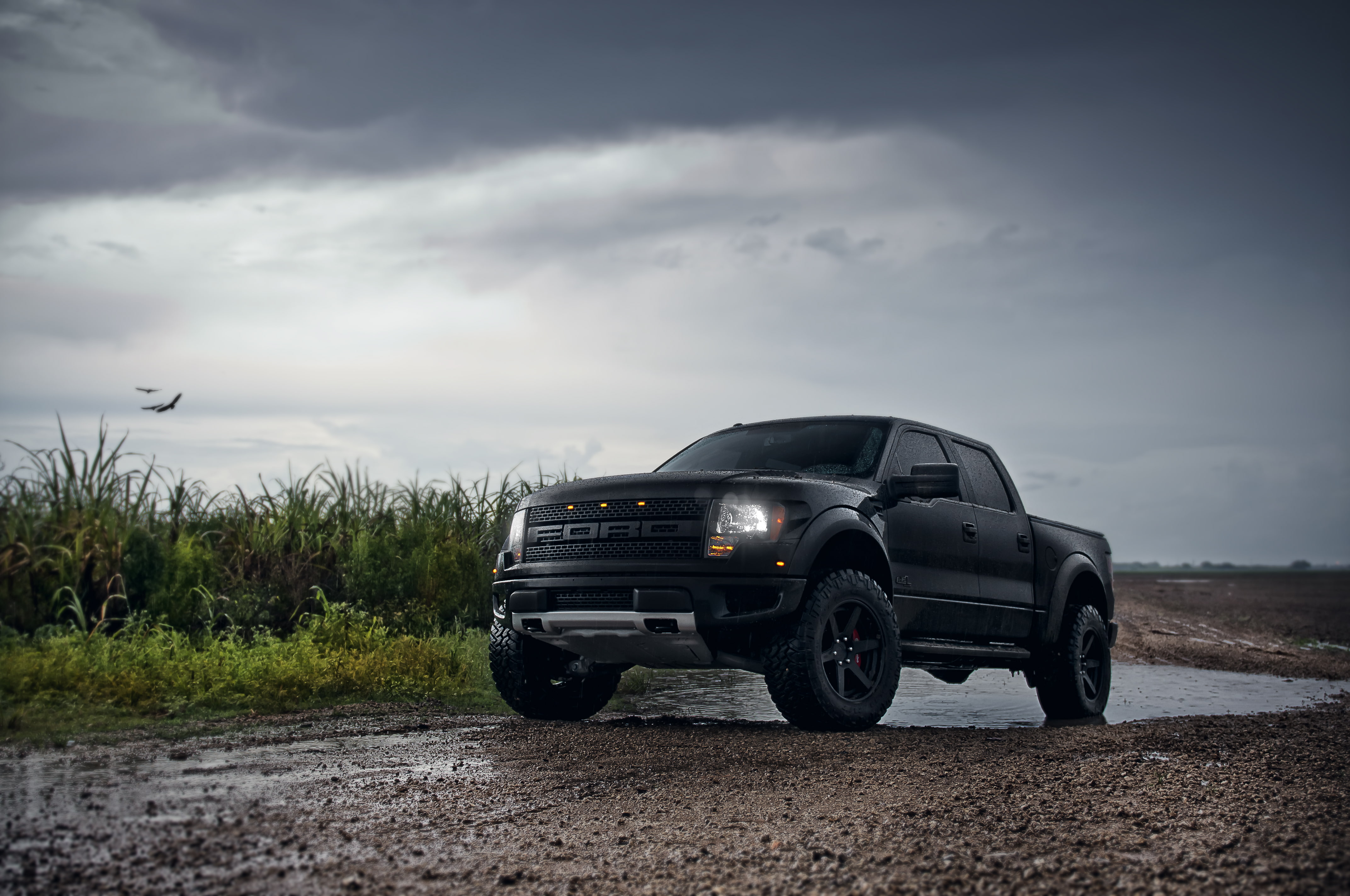 ford, adv 1, raptor, 4K, HD Wallpaper