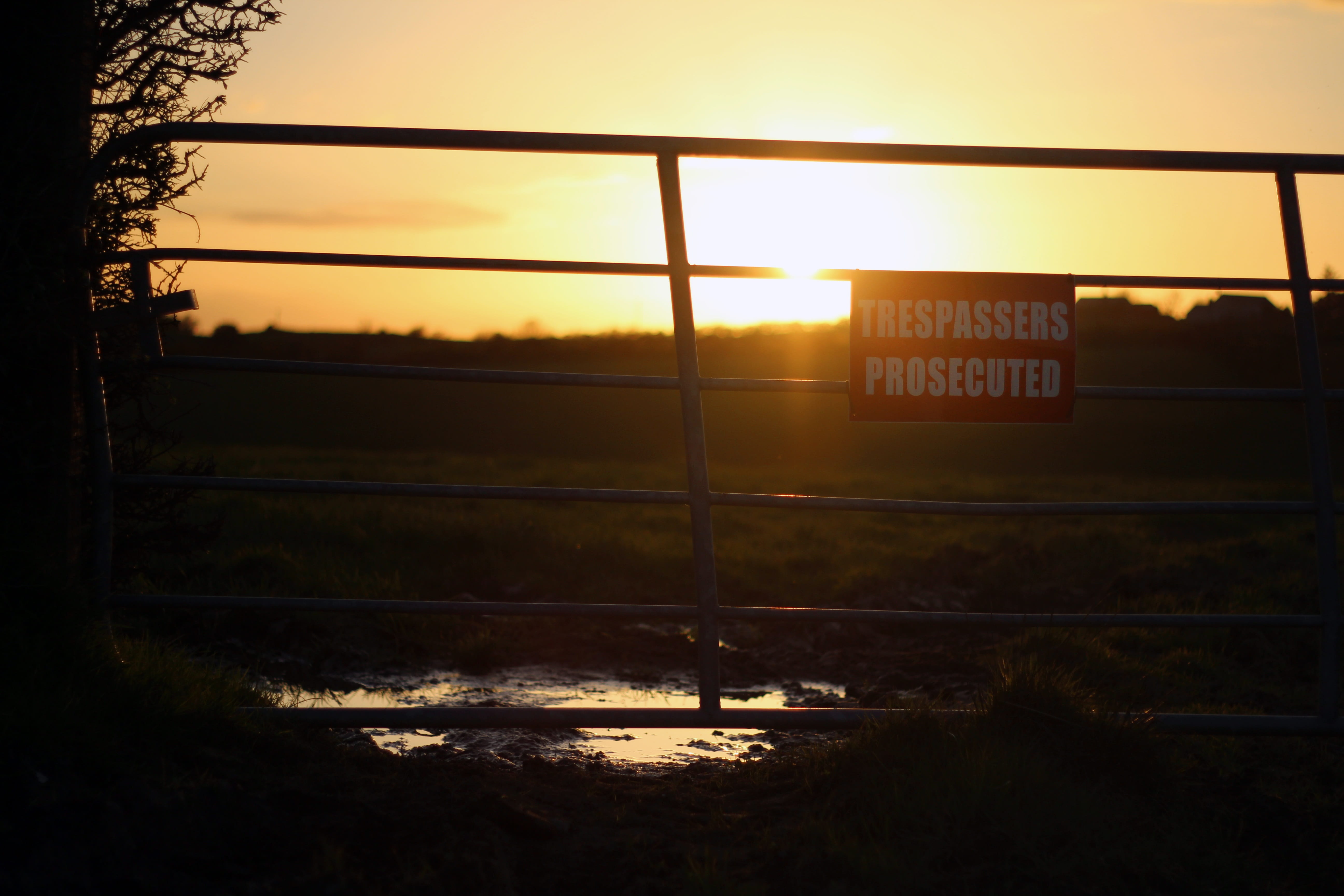 no people, prosecuted, barrier, sky, outdoors, no, sun, lens flare, boundary, landscape, orange, 5K, sunset, nature, orange color, beauty in nature, sign, HD Wallpaper
