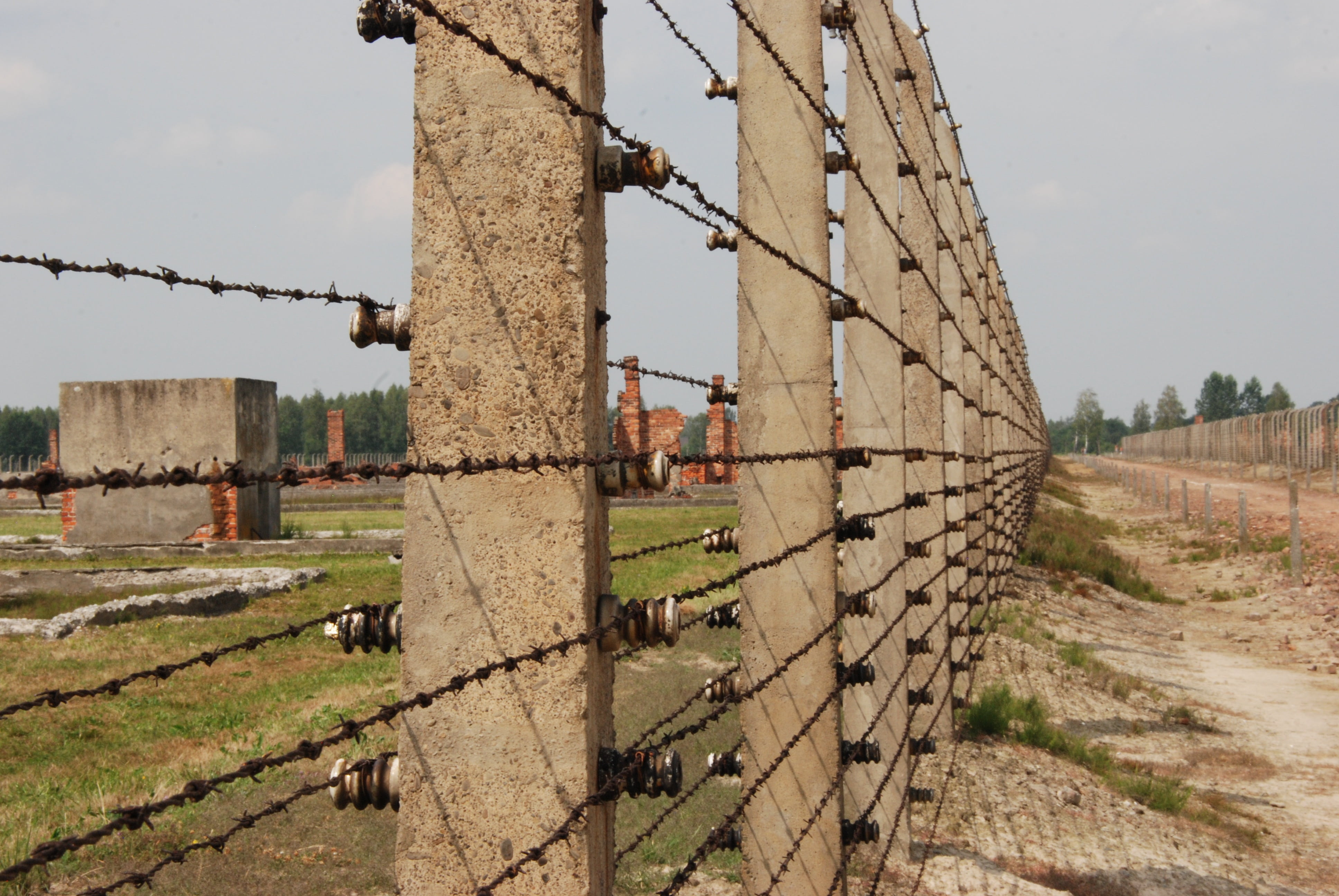 land, safety, architecture, boundary, metal, barrier, war, field, poland, barbed wire, wire, landscape, built structure, fence, auschwitz-birkenau, 4K, HD Wallpaper
