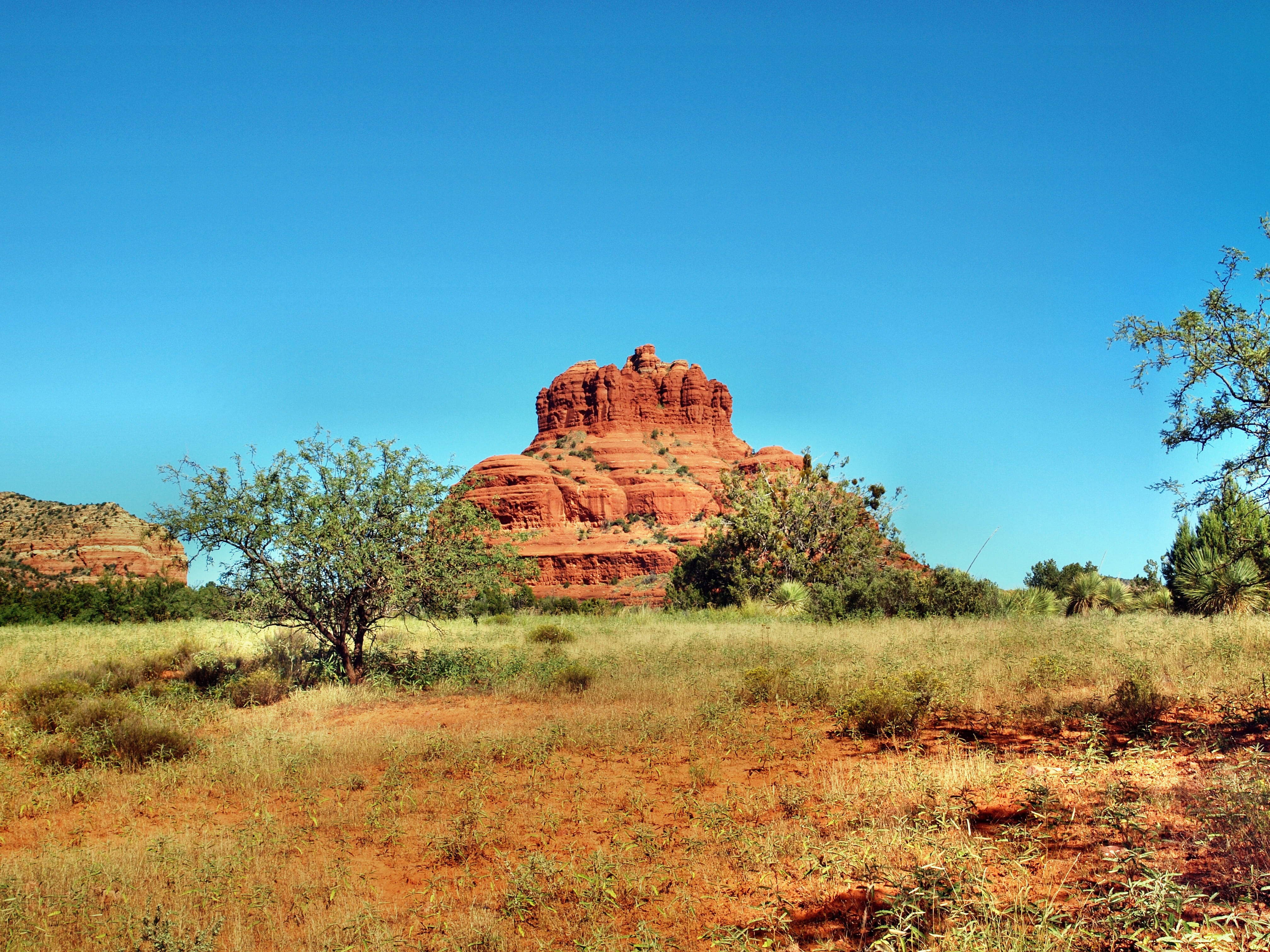 tree, red rock, climate, usa, land, semi-arid, outdoors, landscape, clear sky, non-urban scene, sky, grass, day, nature, arid climate, arizona, 4K, bell rock, HD Wallpaper
