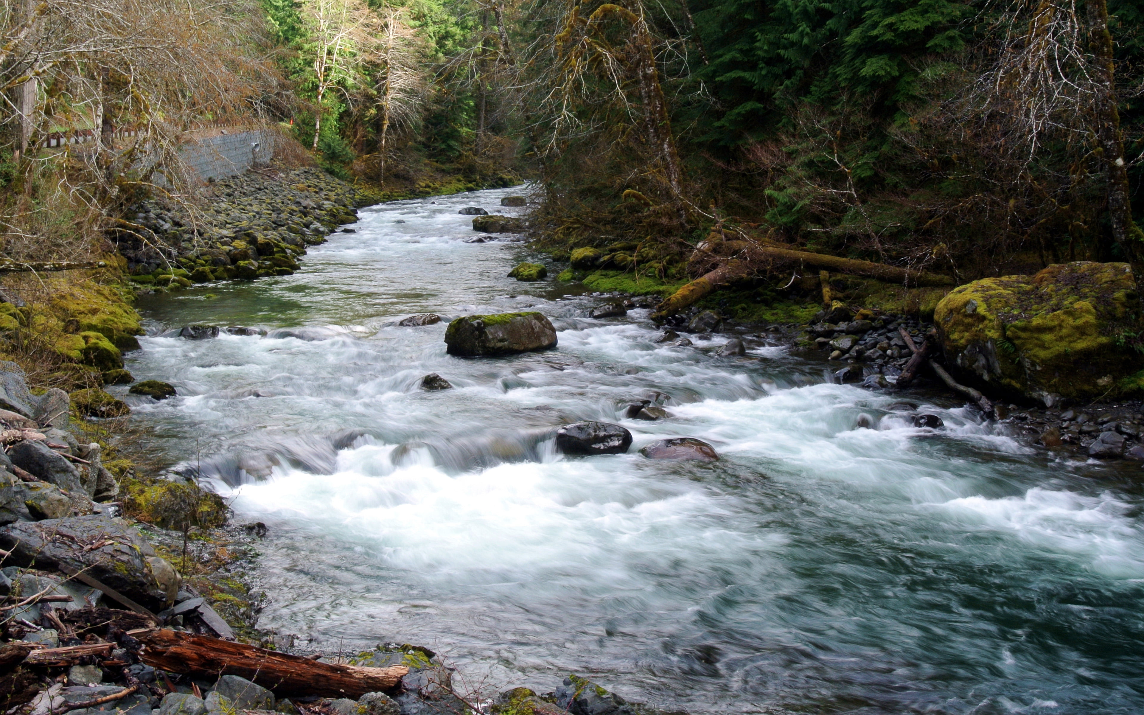 washington, water, desktop, power in nature, nature, solid, state, rock, rock - object, 4K, plant, forest, olympic, flowing, park, hd, national, scenics - nature, HD Wallpaper