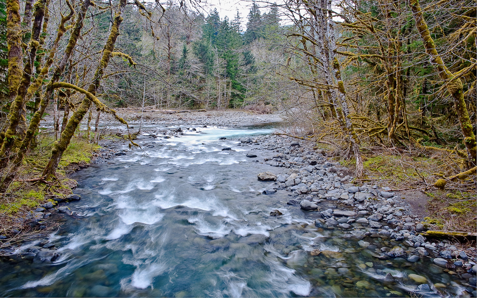 season, 1080P, stones, usa, duc, park, washington, mountain, forest, winter, sol, river, tree, olympic, hd, national, HD Wallpaper