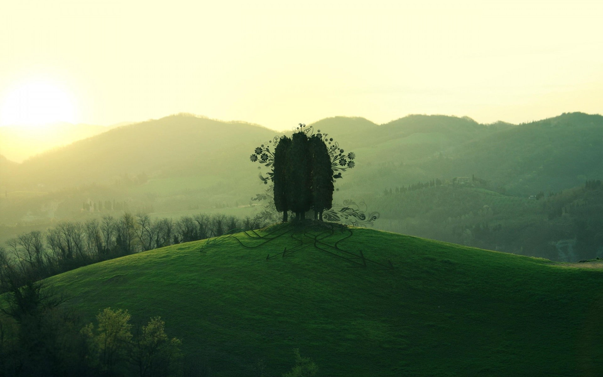 scenics - nature, field, outdoors, land, mountains, photo manipulation, tranquility, plant, Photoshop, green, 1080P, sky, growth, landscape, trees, fog, HD Wallpaper