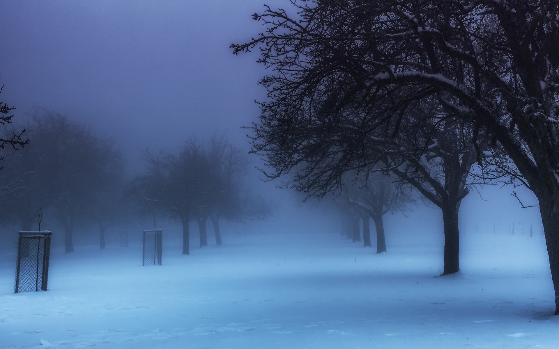 no people, tranquility, tranquil scene, tree, covering, 1080P, white color, cold, land, fog, park, scenics - nature, environment, beauty in nature, nature, HD Wallpaper