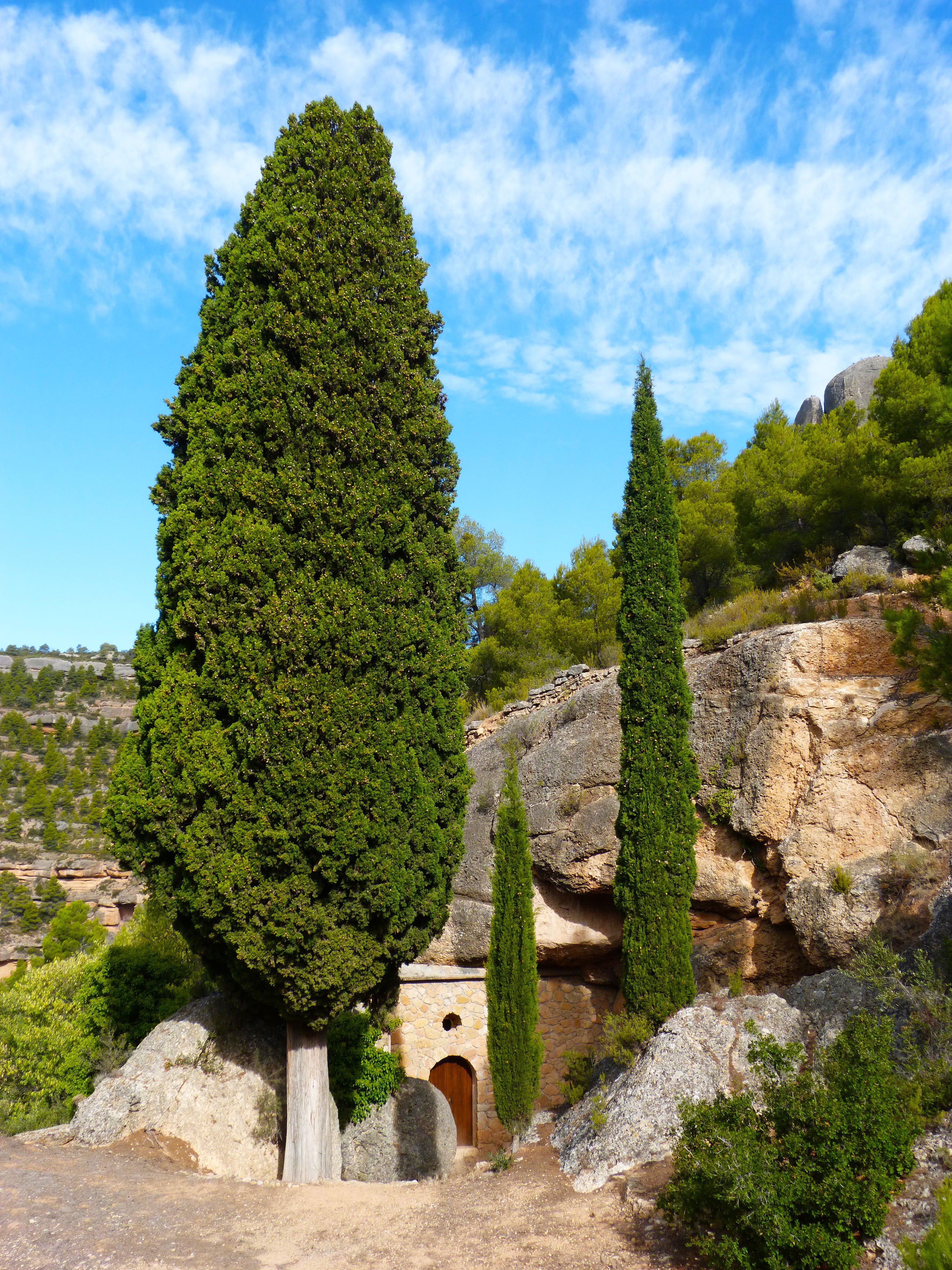 building exterior, sunlight, priorat, growth, old, cypress, hermitage of sant roc, cabassers, church, travel destinations, the past, nature, architecture, Phone HD Wallpaper