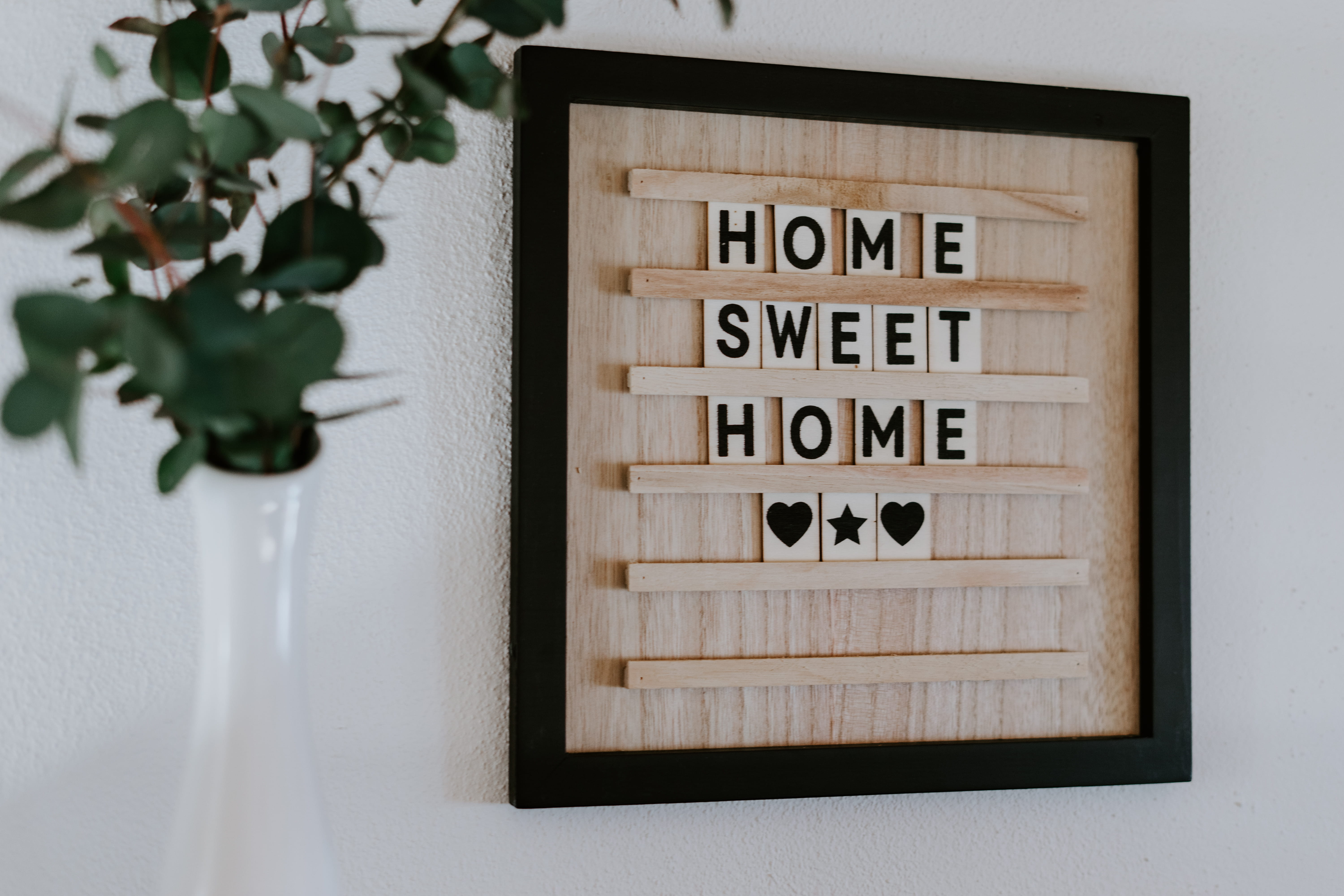5K, white color, symbol, wood, wood - material, green, brown, black, plant, white, sign, frame, flowering plant, wall, direction, communication, pflanze, HD Wallpaper