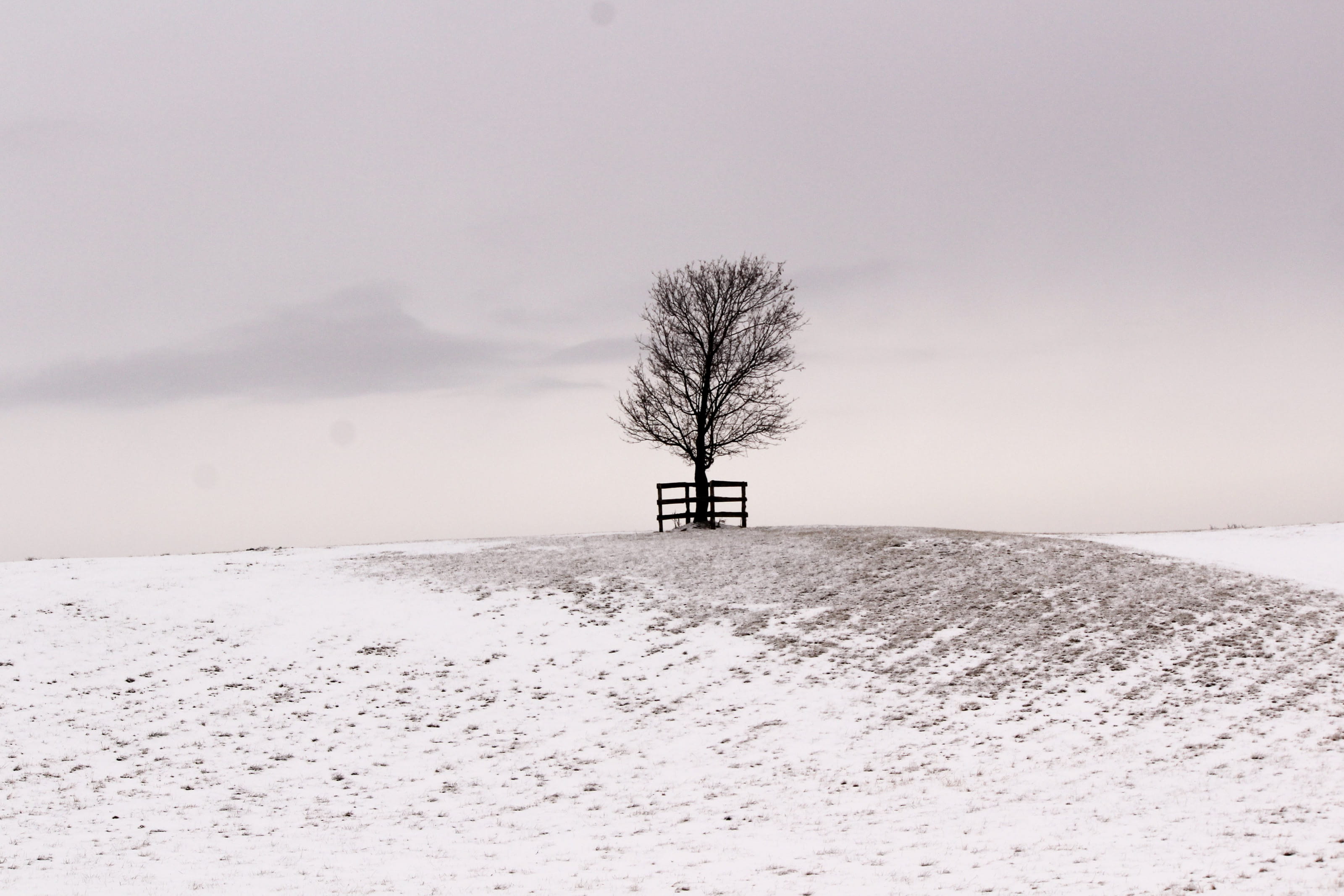 no leaf, landscape, non-urban scene, environment, covered, cold temperature, field, travel, nature, snow, 2K, scenics - nature, frost, land, bare tree, HD Wallpaper