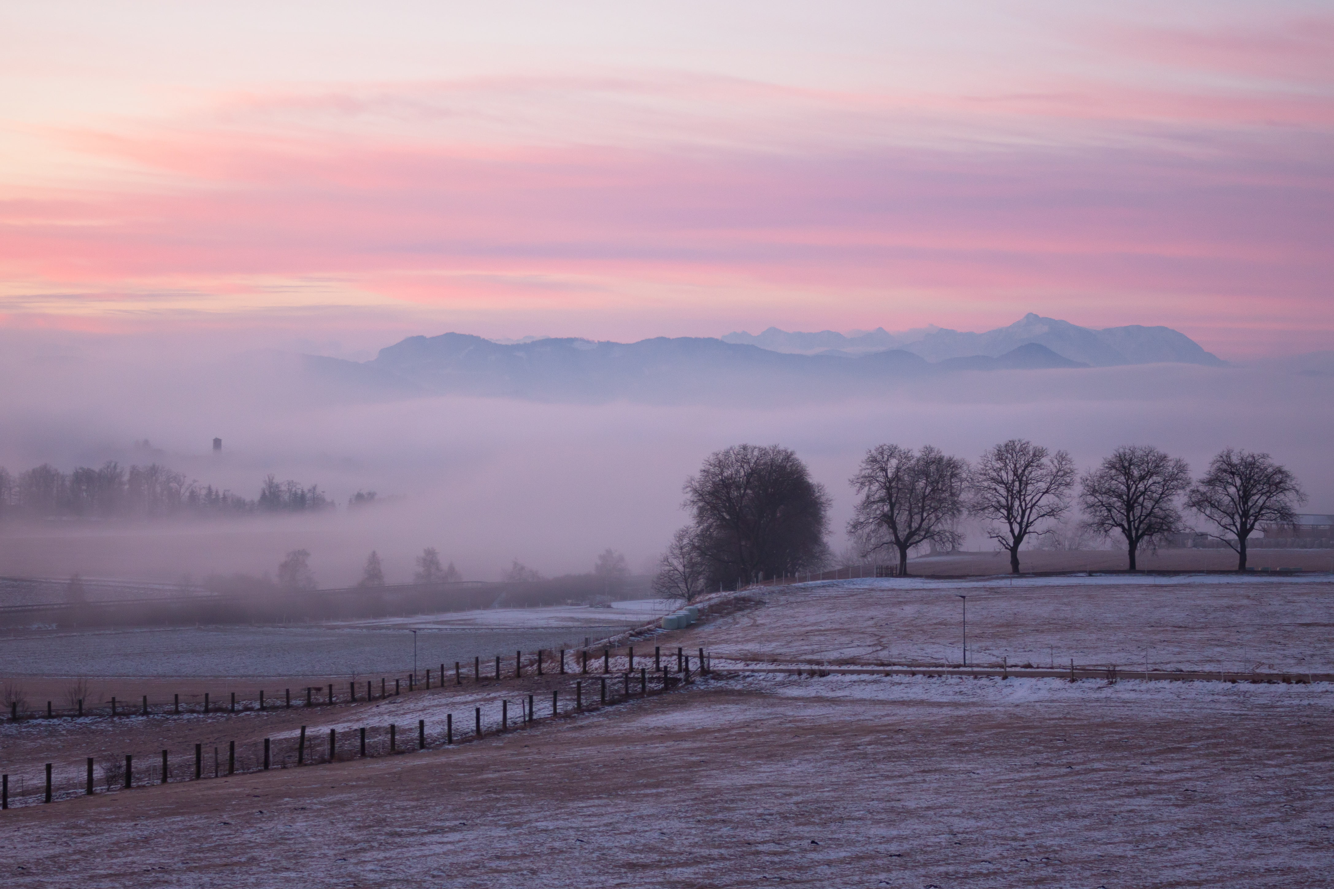 trees, Karawanken, sunrise - Dawn, photo, Carinthia, Nebel, Kärnten, Fog, dawn, Sunrise, tree, rural Scene, Mountains, mist, Berge, mountain, outdoors, HD Wallpaper