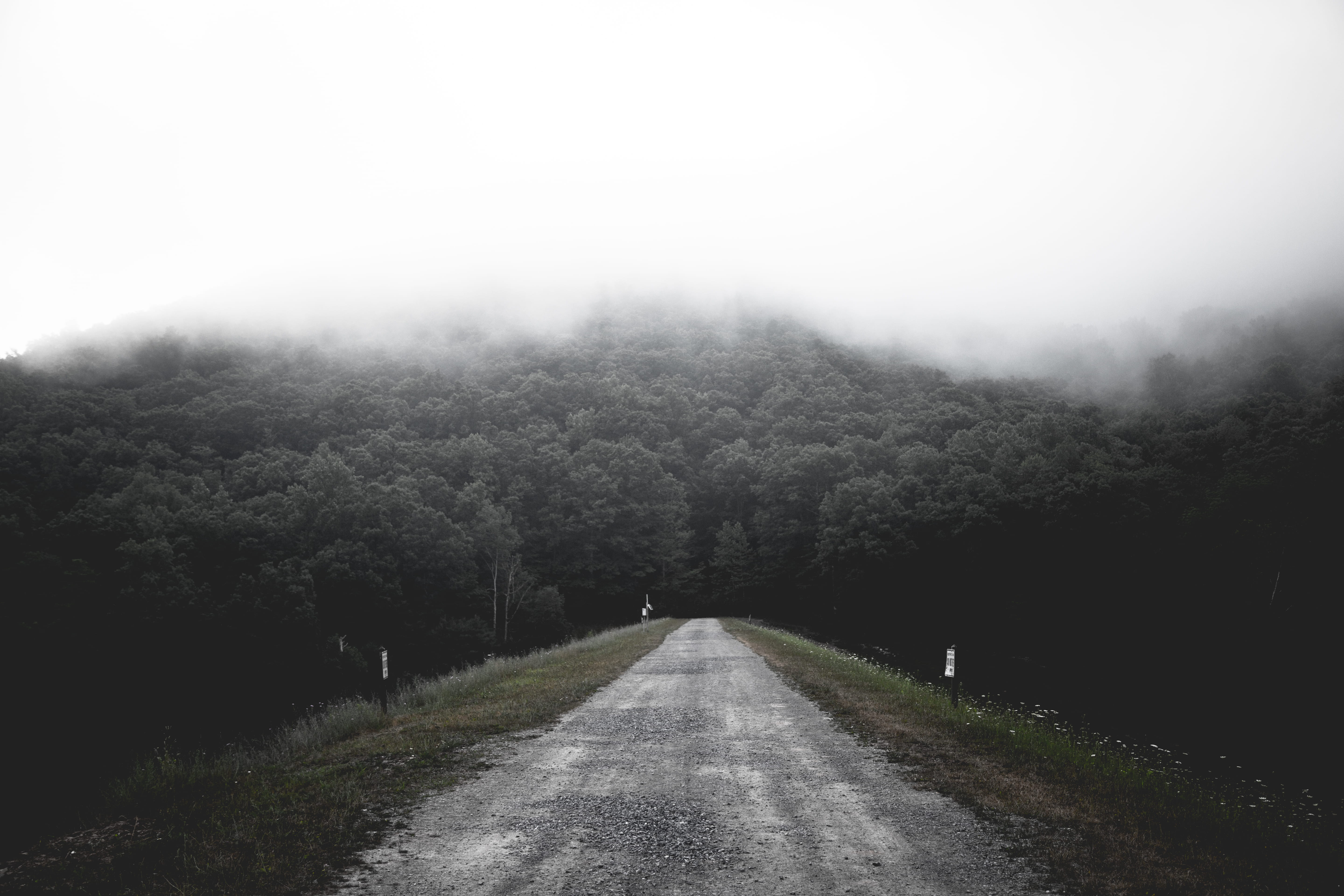 tranquility, tranquil scene, nature, beauty in nature, gloomy, the way forward, daytime, scenics - nature, shallow, mountain, photography, landscape, treelined, HD Wallpaper
