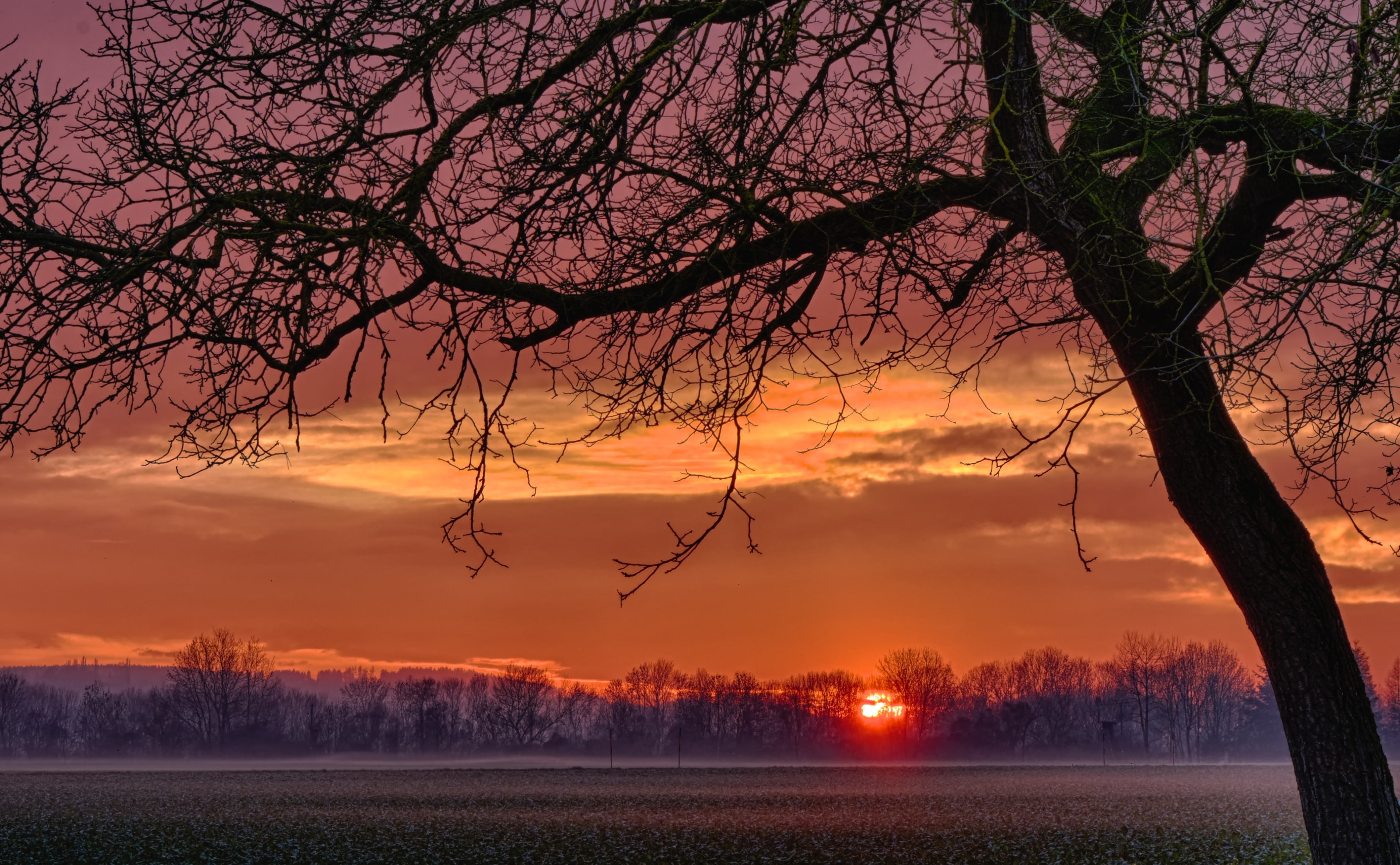 beauty in nature, Germany, landschaften, 4K, Deutschland, sonnenuntergang, nature, outdoors, orange color, environment, scenics - nature, landscape, plant, HD Wallpaper
