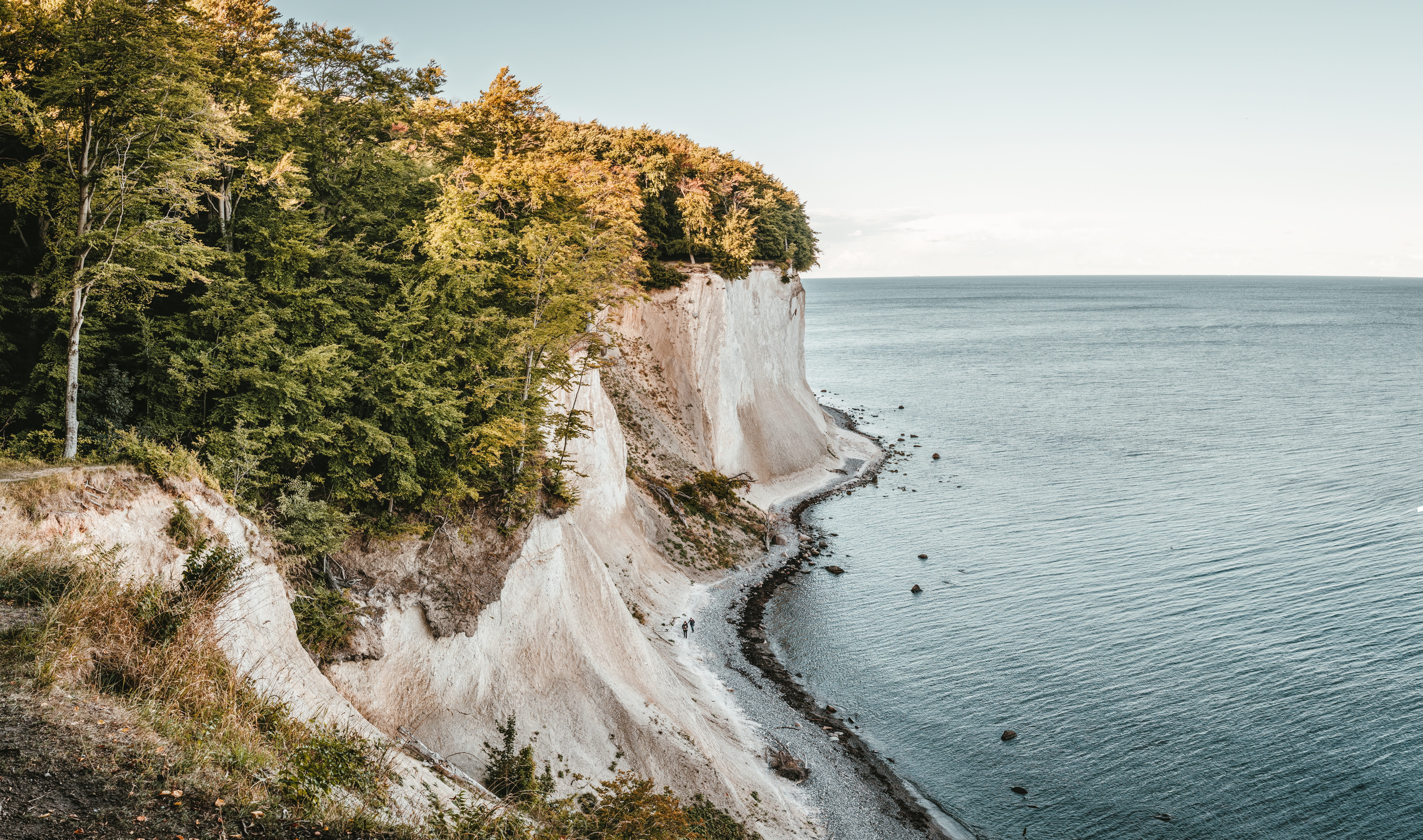 tranquility, limestone, recovery, no people, non-urban scene, sky, scenics - nature, land, white cliffs, forest, growth, baltic sea, nature park, HD Wallpaper