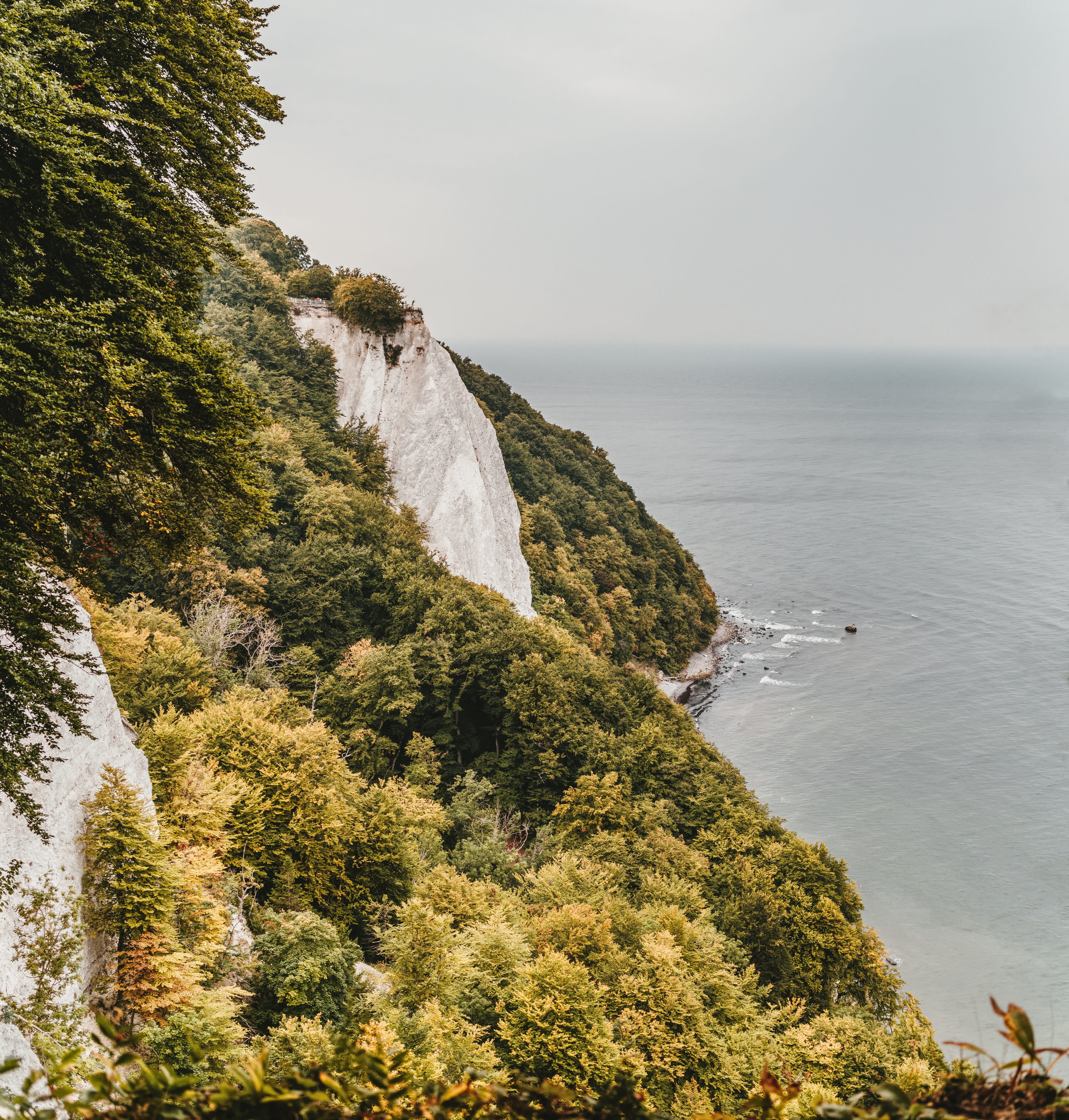 baltic sea, scenics - nature, king chair, autumn, rock - object, sea, no people, recovery, tranquility, outdoors, cliffs, background, forest, water, beauty in nature, Phone HD Wallpaper