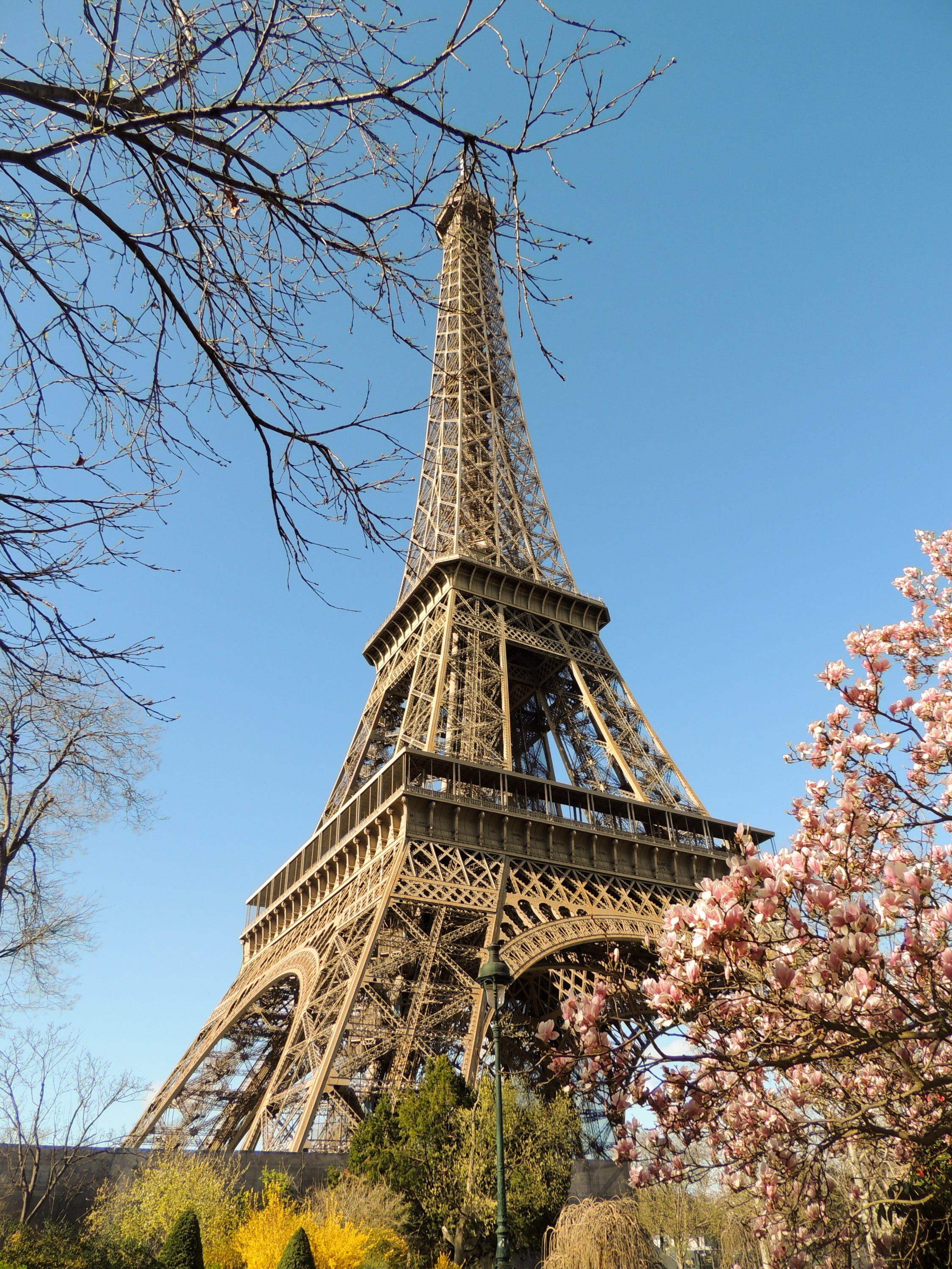 architecture, culture, paris, 2K, famous, the past, outdoors, radio, capital, spire, sky, france, branch, built structure, nature, low angle view, tower, Phone HD Wallpaper