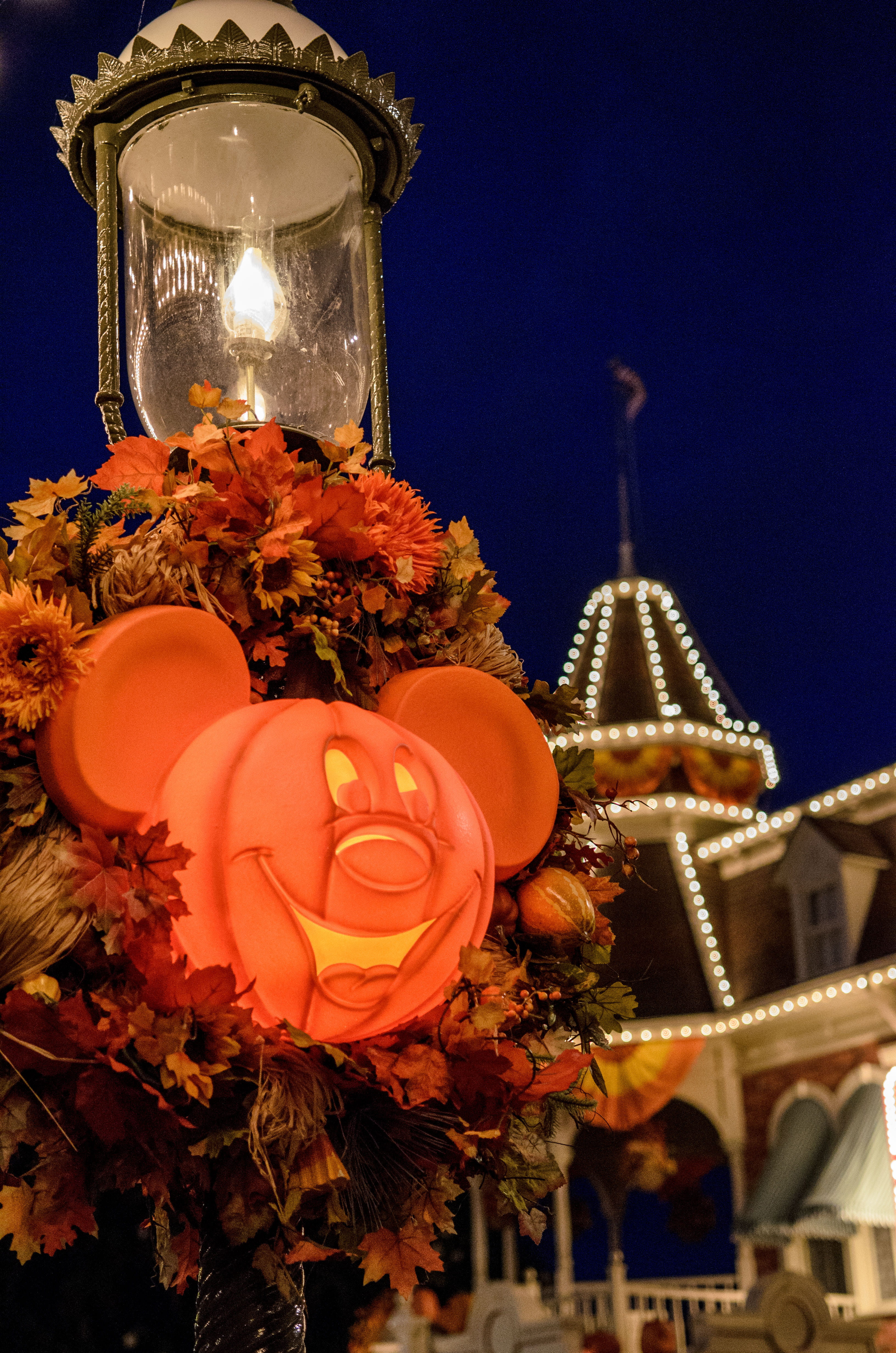 dark, plant, orange, lighting equipment, florida, decoration, holiday, architecture, 4K, christmas ornament, flower, not so scary, flowering plant, christmas, Phone HD Wallpaper