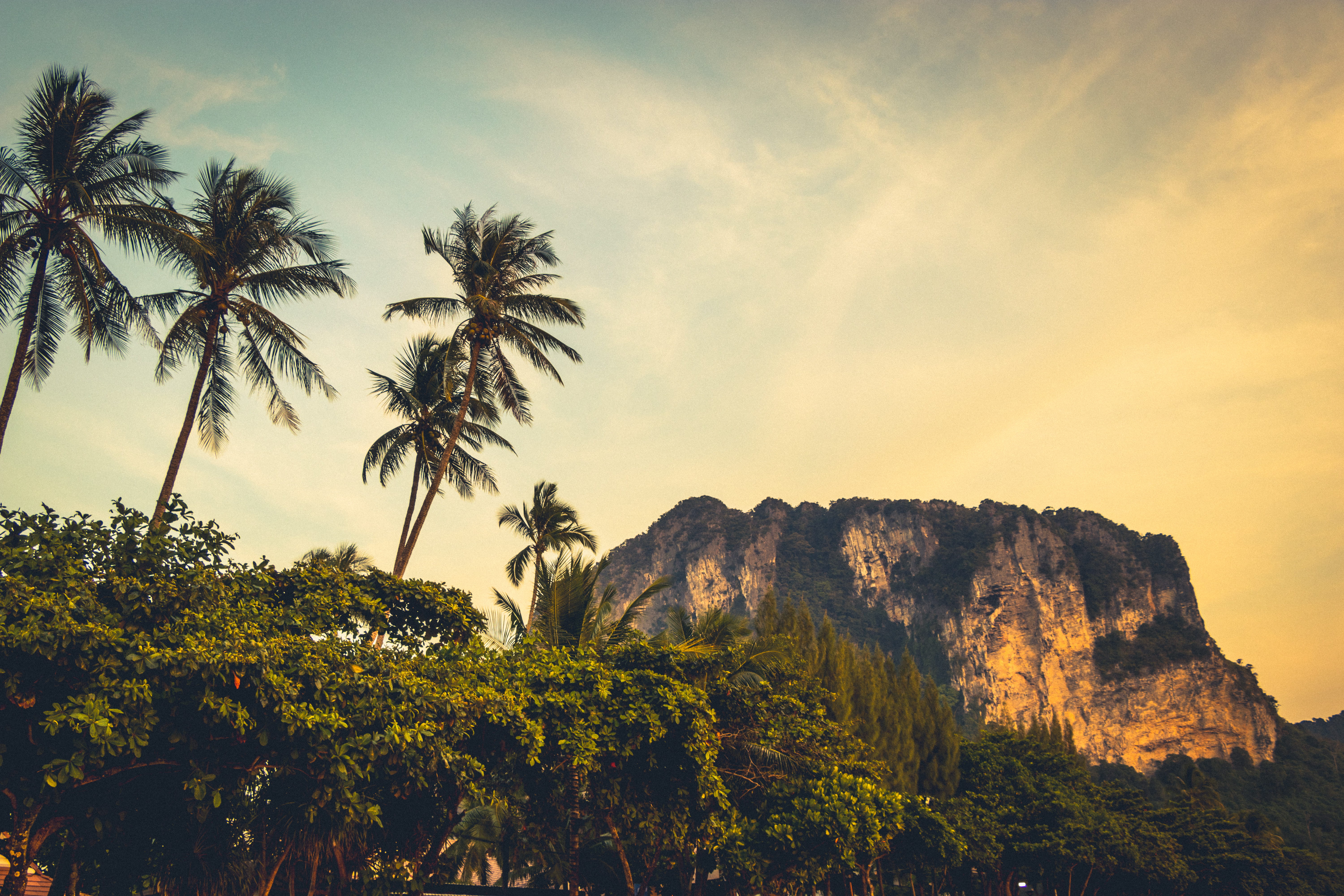 no people, scenics - nature, mountain, island, landscape, tree, sky, land, trees, outdoors, 5K, sunset, stone, low angle view, tranquility, idyllic, tropical tree, HD Wallpaper