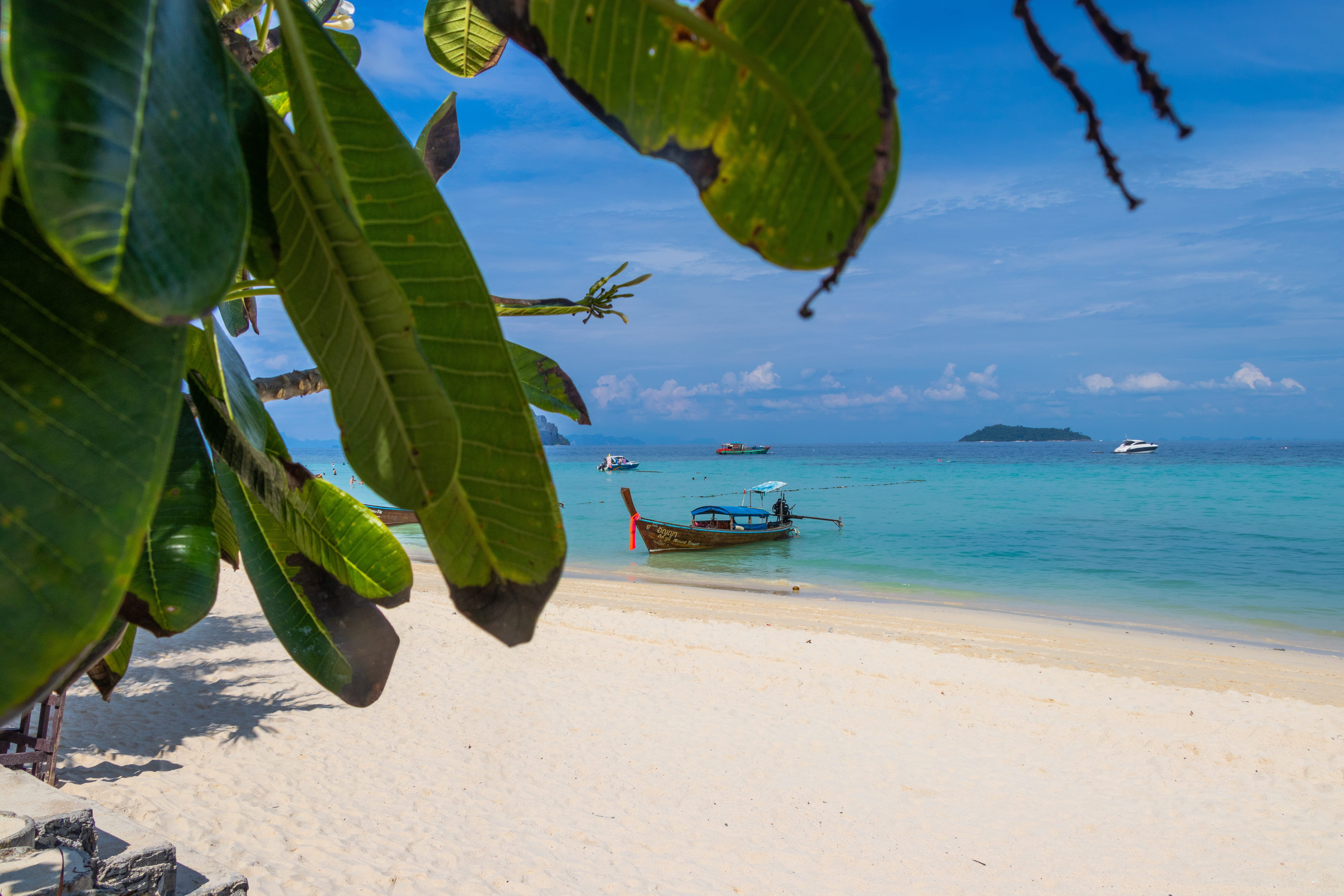 island, rest, at the court of, thailand, holidays, beauty in nature, coconut palm tree, stay, sea, krabi, leaf, transportation, nautical vessel, day, travel, HD Wallpaper