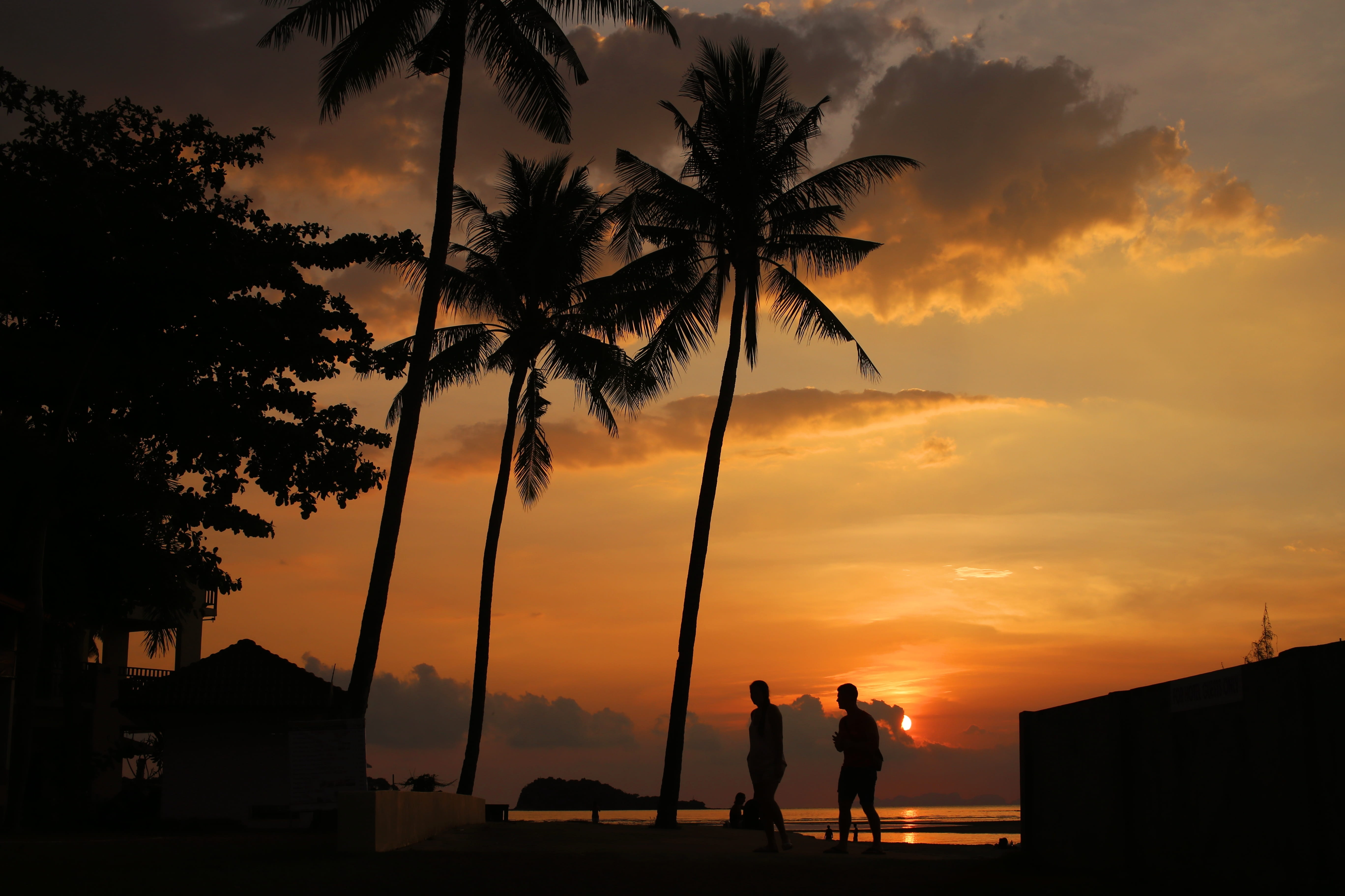 lifestyles, orange color, land, the silhouette, island, two people, togetherness, two, sky, coconut palm tree, sunset, coconut, real people, plant, scenics - nature, HD Wallpaper