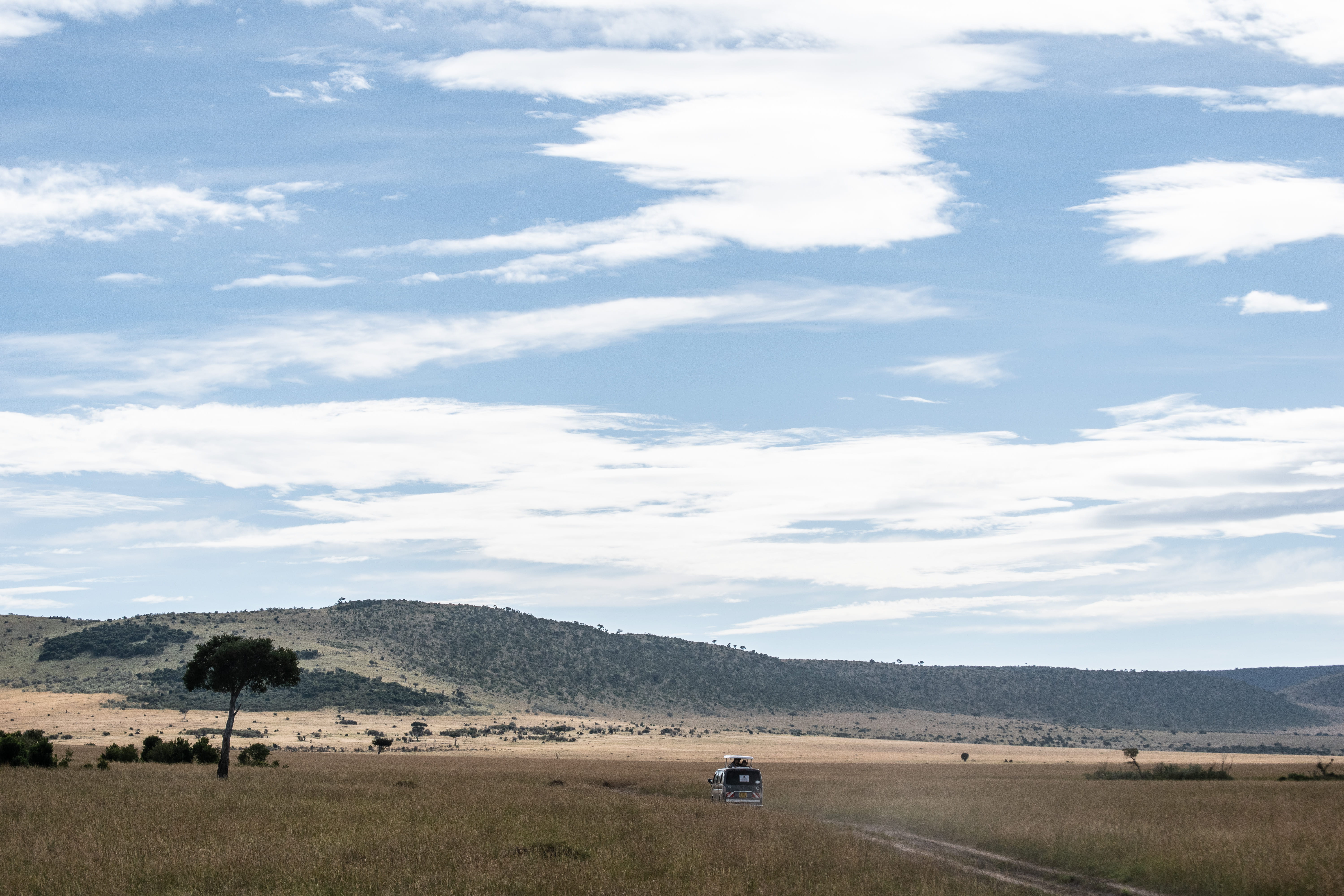 animal, tranquil scene, grass, outdoors, van, kenya, non-urban scene, camper, 5K, transportation, nature, tranquility, landscape, land, plant, plateau, HD Wallpaper