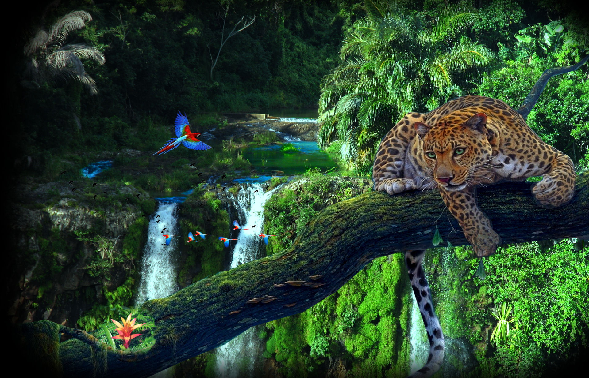 jungle, parrots, 1080P, leopard, wood, HD Wallpaper