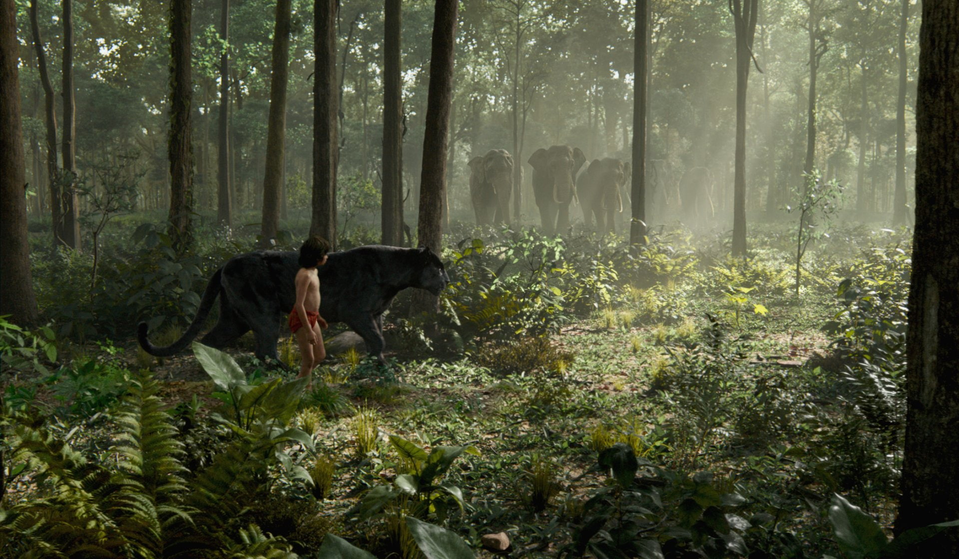 The Jungle Book, The Jungle Book (2016), Elephant, 1080P, Black Panther, HD Wallpaper