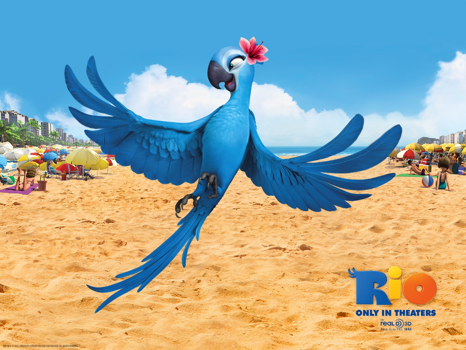 rio, jewel, 720P, movie, HD Wallpaper