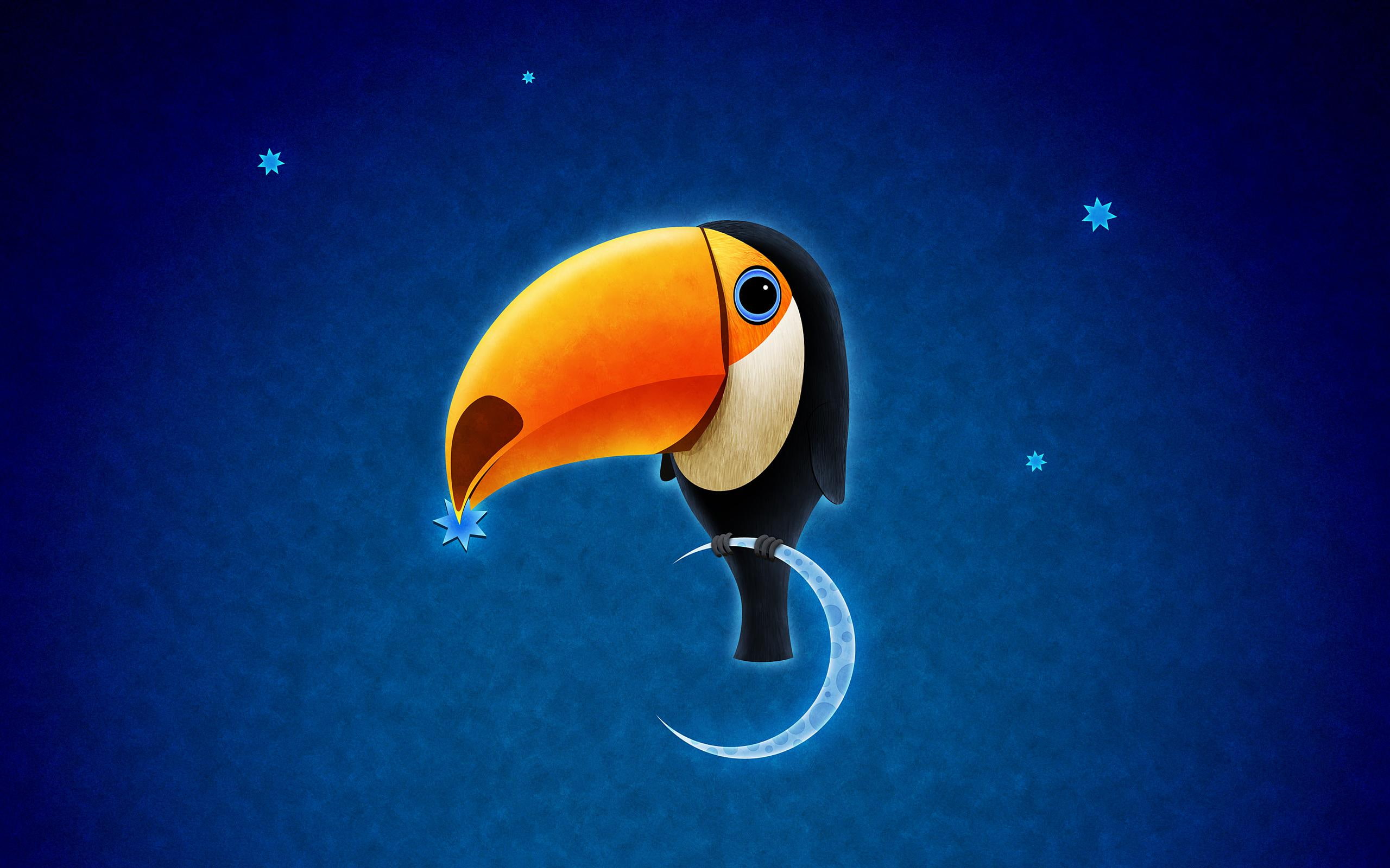 2K, bird, creative and graphics, toucan, HD Wallpaper