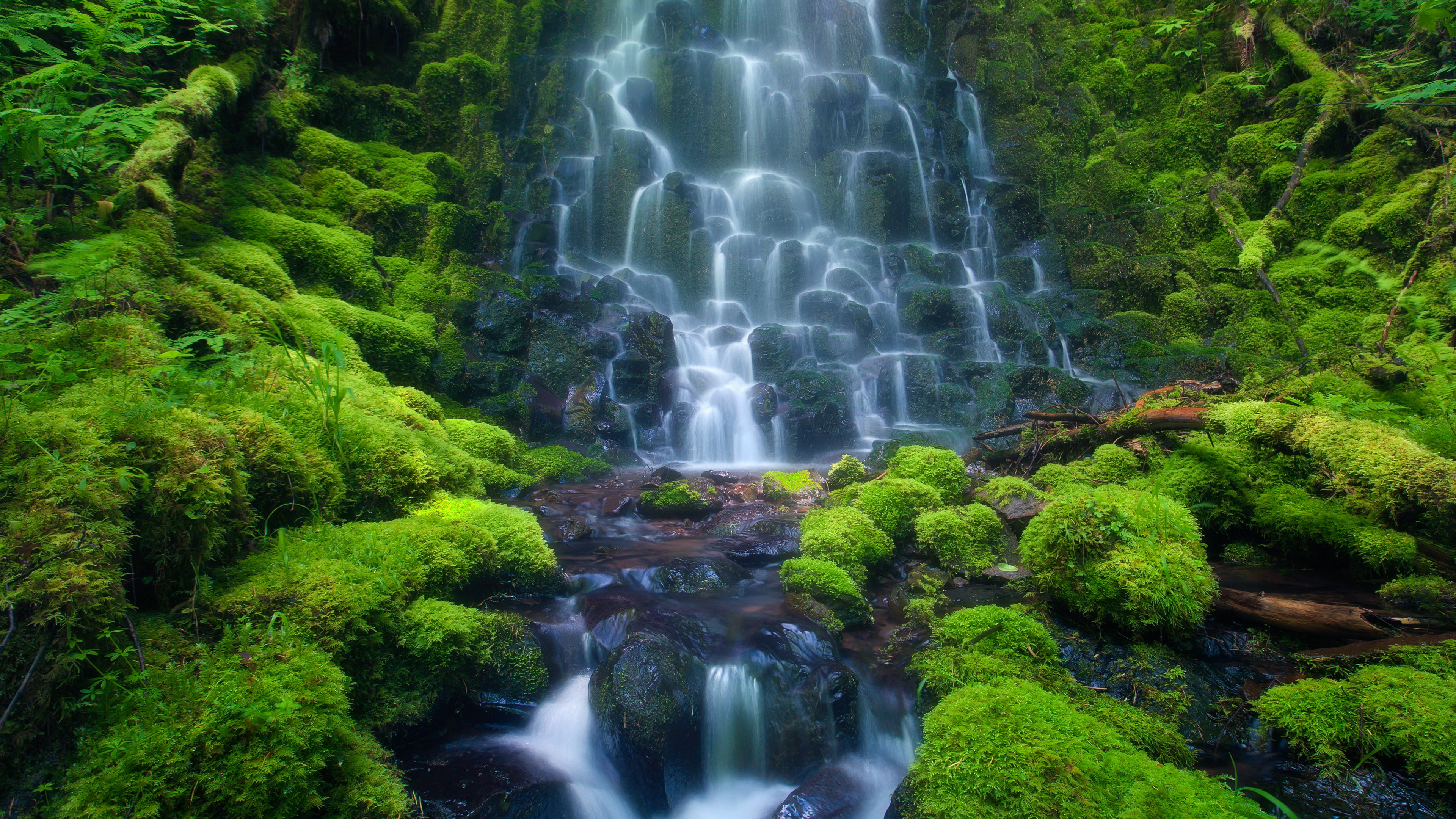 rica, long exposure, falling water, green color, rocks, cascade, growth, solid, water, moss, green, outdoors, hd, forest, costa, sensoria, desktop, HD Wallpaper