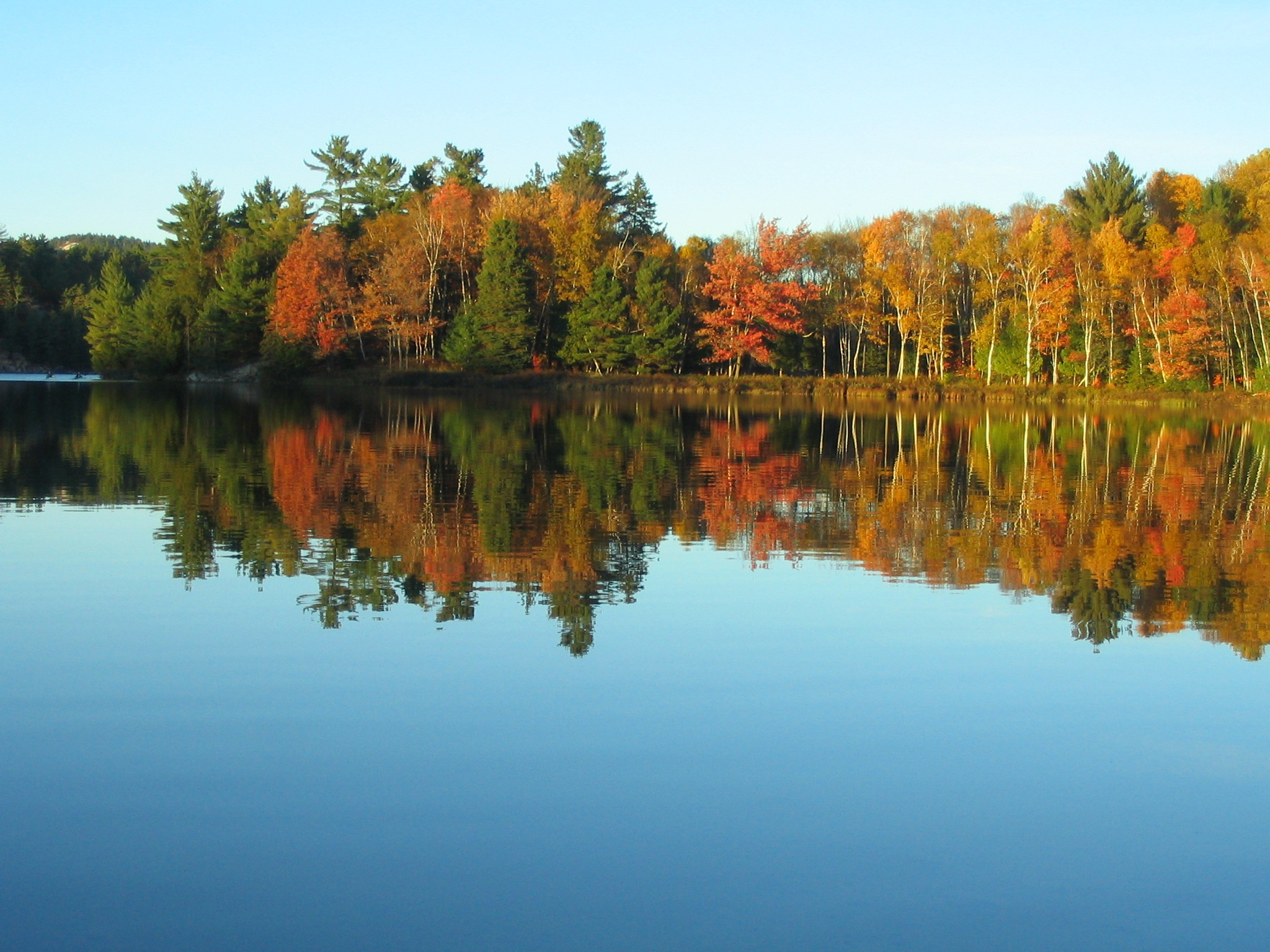 colours, fronting, tree, lake, beauty In Nature, orange Color, sky, clear sky, yellow, water, outdoors, season, killarney, day, nature, plant, reflection, HD Wallpaper