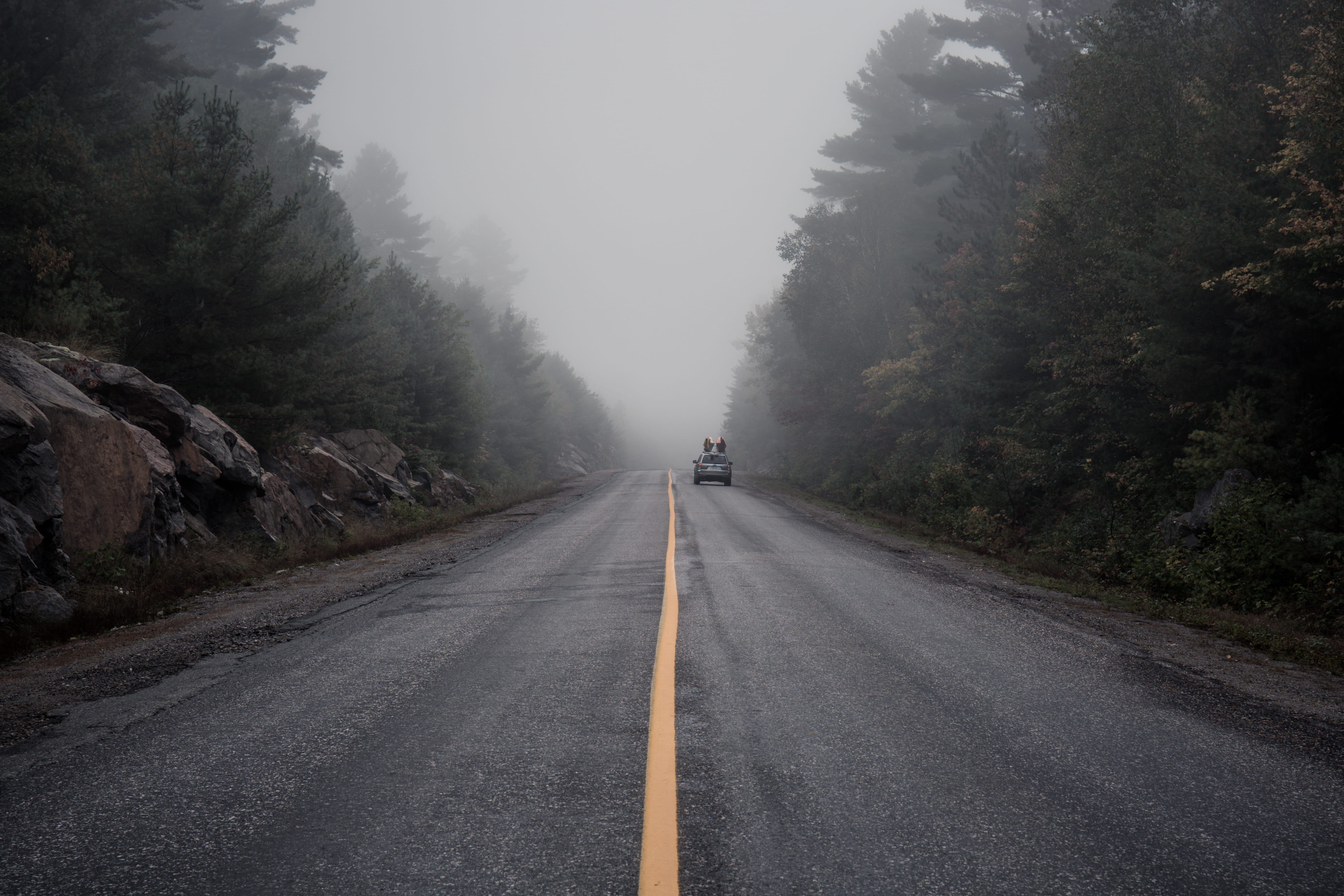 fog, diminishing perspective, canoes, yellow, killarney, roadtrip, symbol, marking, mode of transportation, road, 5K, trees, scenics - nature, grey, rock, HD Wallpaper