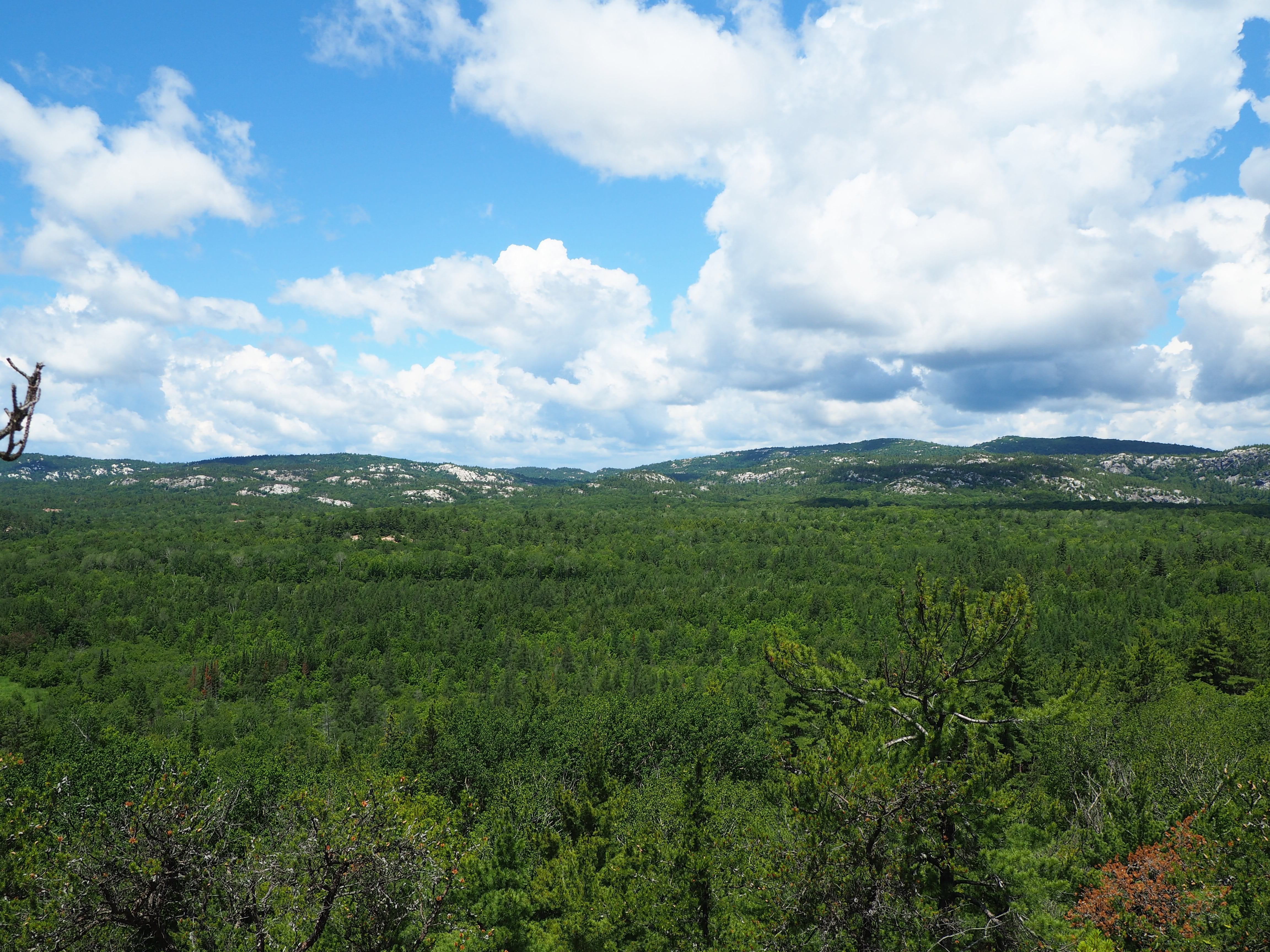 clouds, tranquil scene, canada, landscape, land, hills, killarney, tranquility, plant, cloud - sky, story, beauty in nature, idyllic, 4K, environment, HD Wallpaper