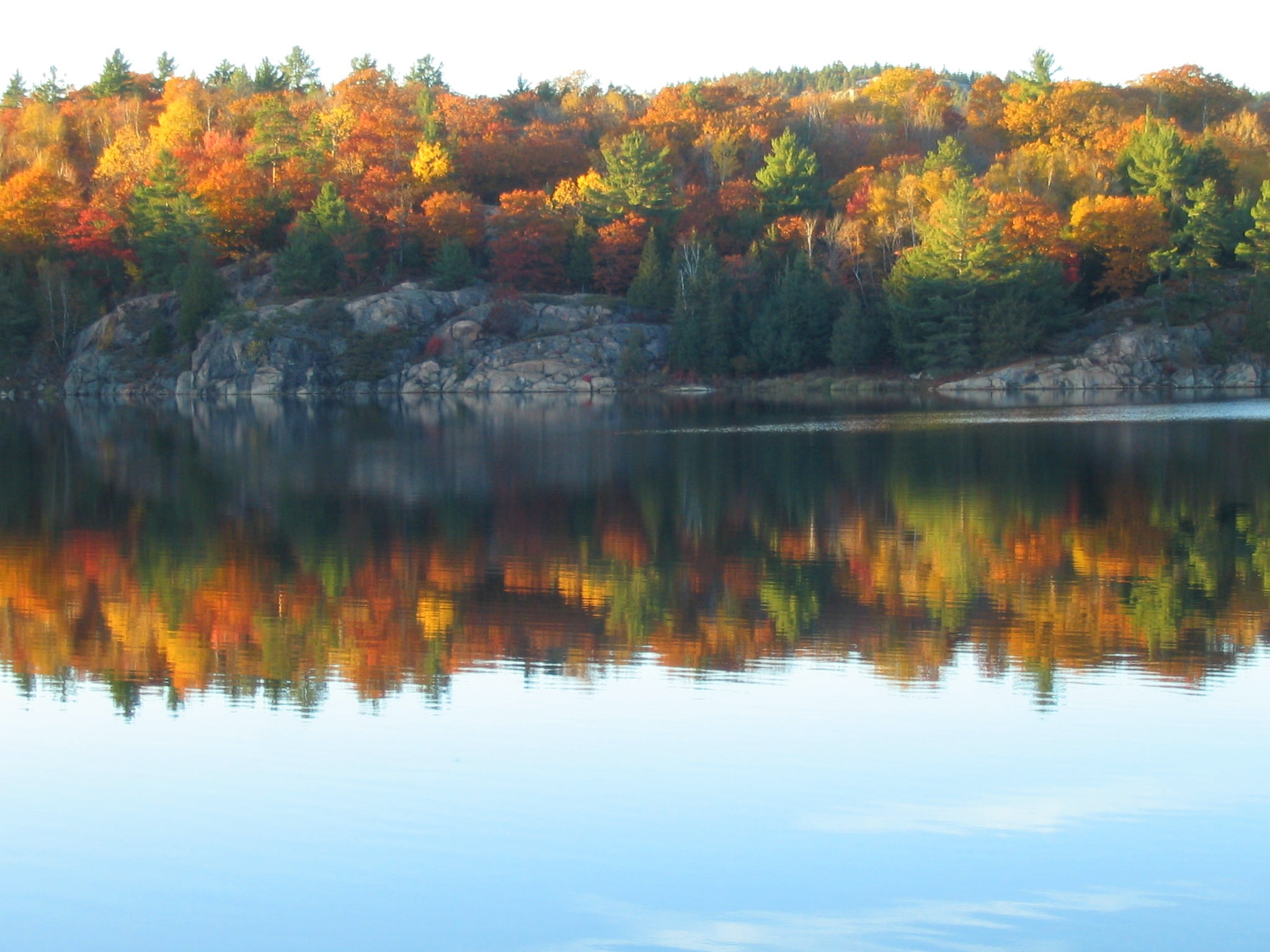 peaceful, canadian shield, granite, trees, water, rocky, calm, plant, no people, reflection, idyllic, yellow, tranquil scene, lake, 1080P, waterfront, HD Wallpaper