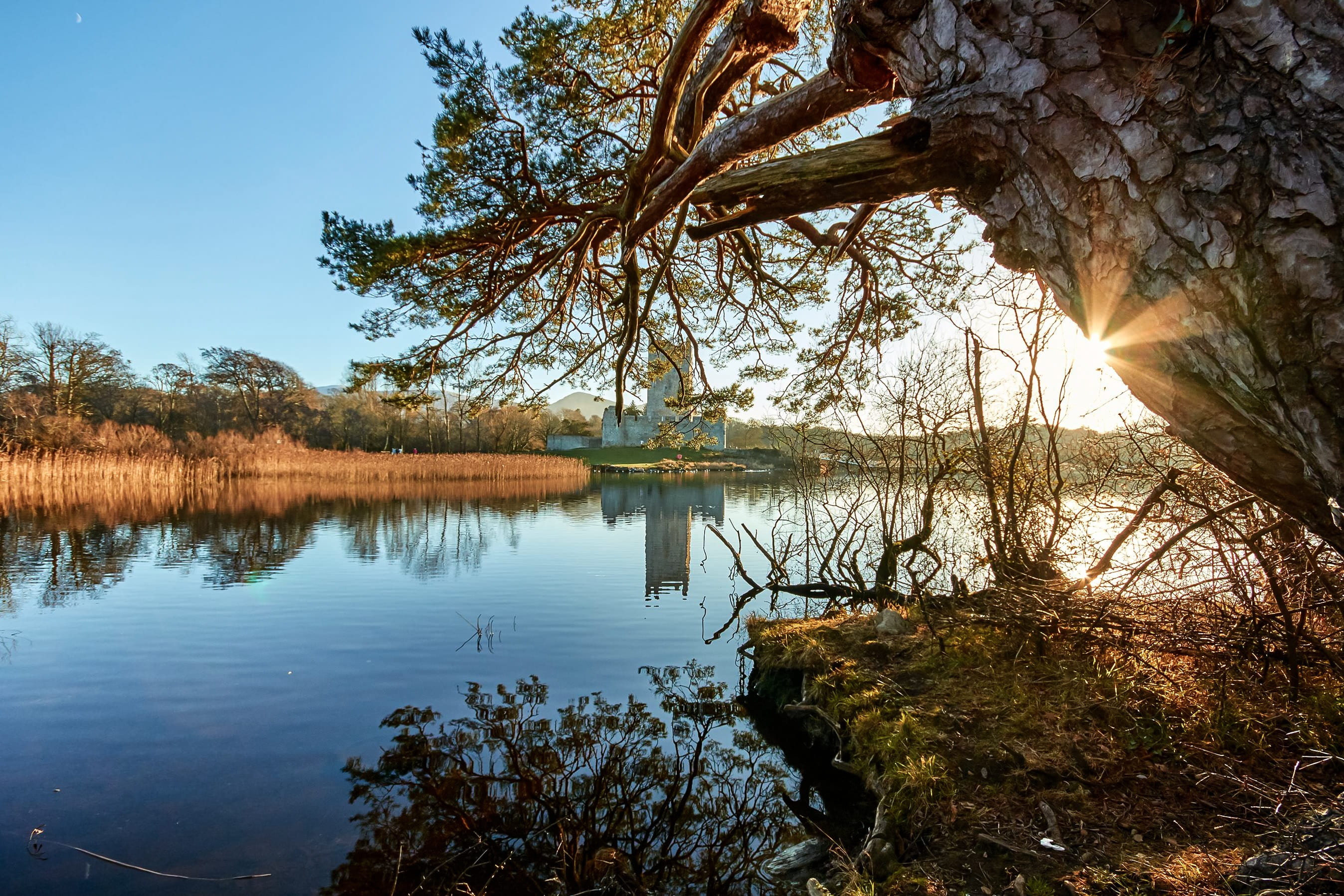idyllic, castle, ross, tree trunk, trunk, scenics - nature, tranquil scene, outdoors, plant, sky, nature, tree, water, beauty in nature, reflection, non-urban scene, HD Wallpaper