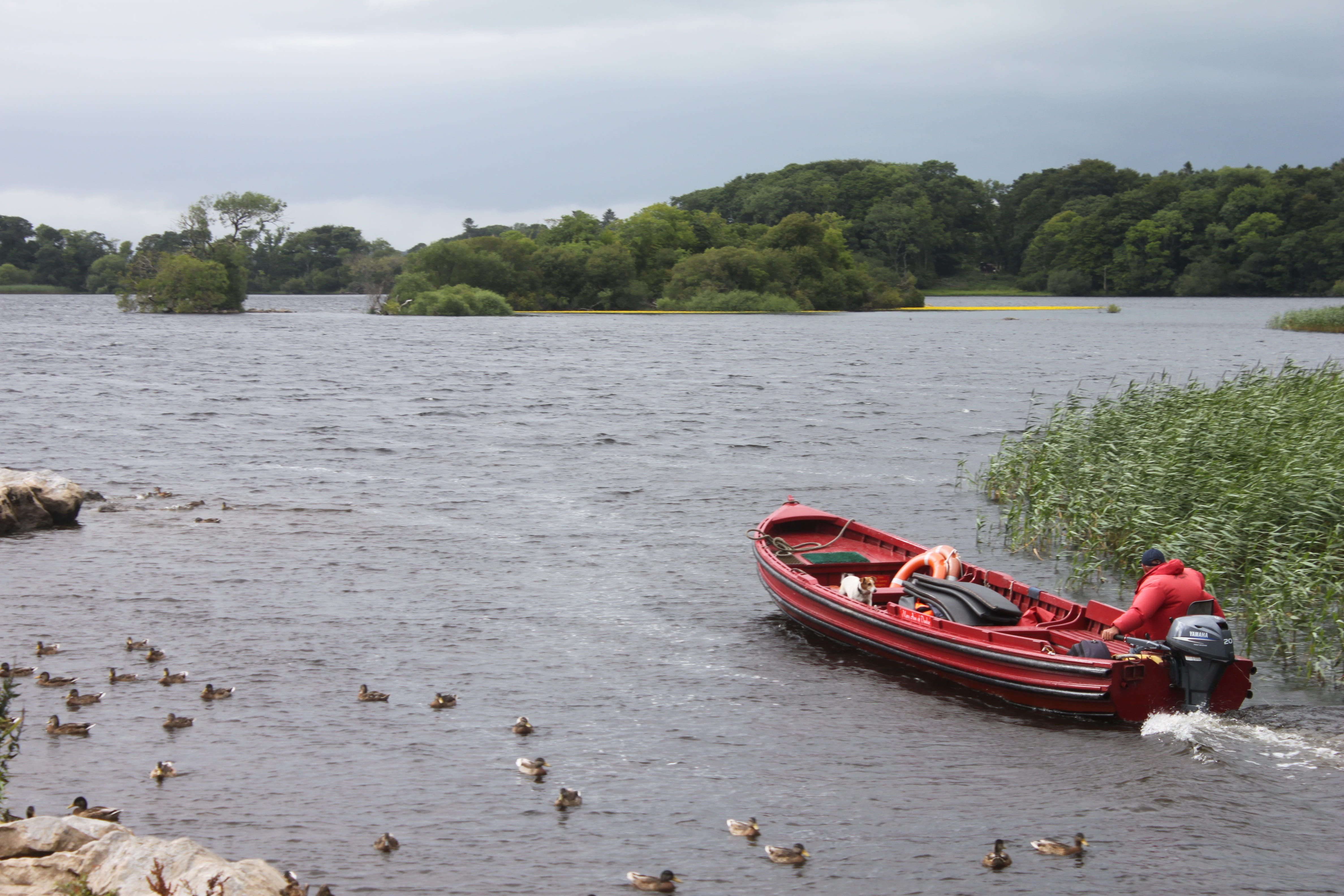 travel destinations, 4K, nautical vessel, boat, killarney, water, sky, no people, lake, land, plant, ireland, mode of transportation, beauty in nature, HD Wallpaper